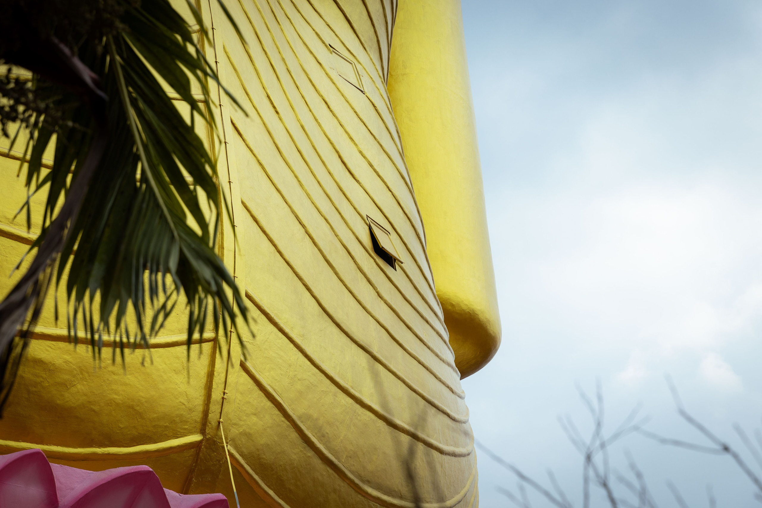 Шри-Ланка (весна 2024). Фотограф Виноградов Константин