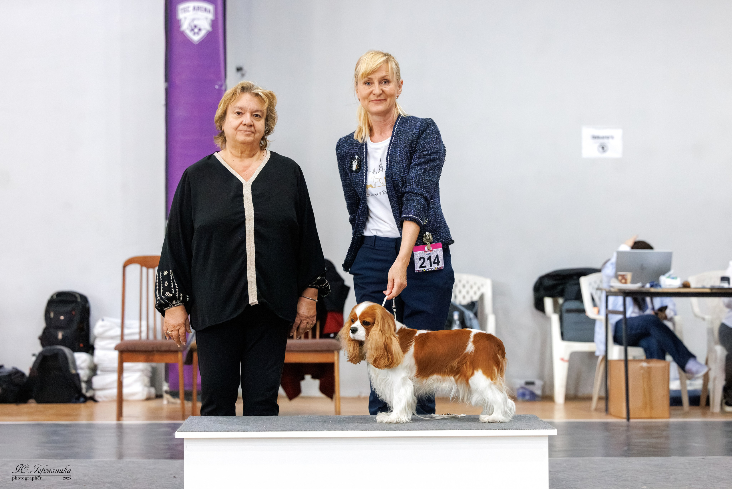 Ереван 2х CACIB 29-30.04.2025. Фотограф-анималист Юлия Германика