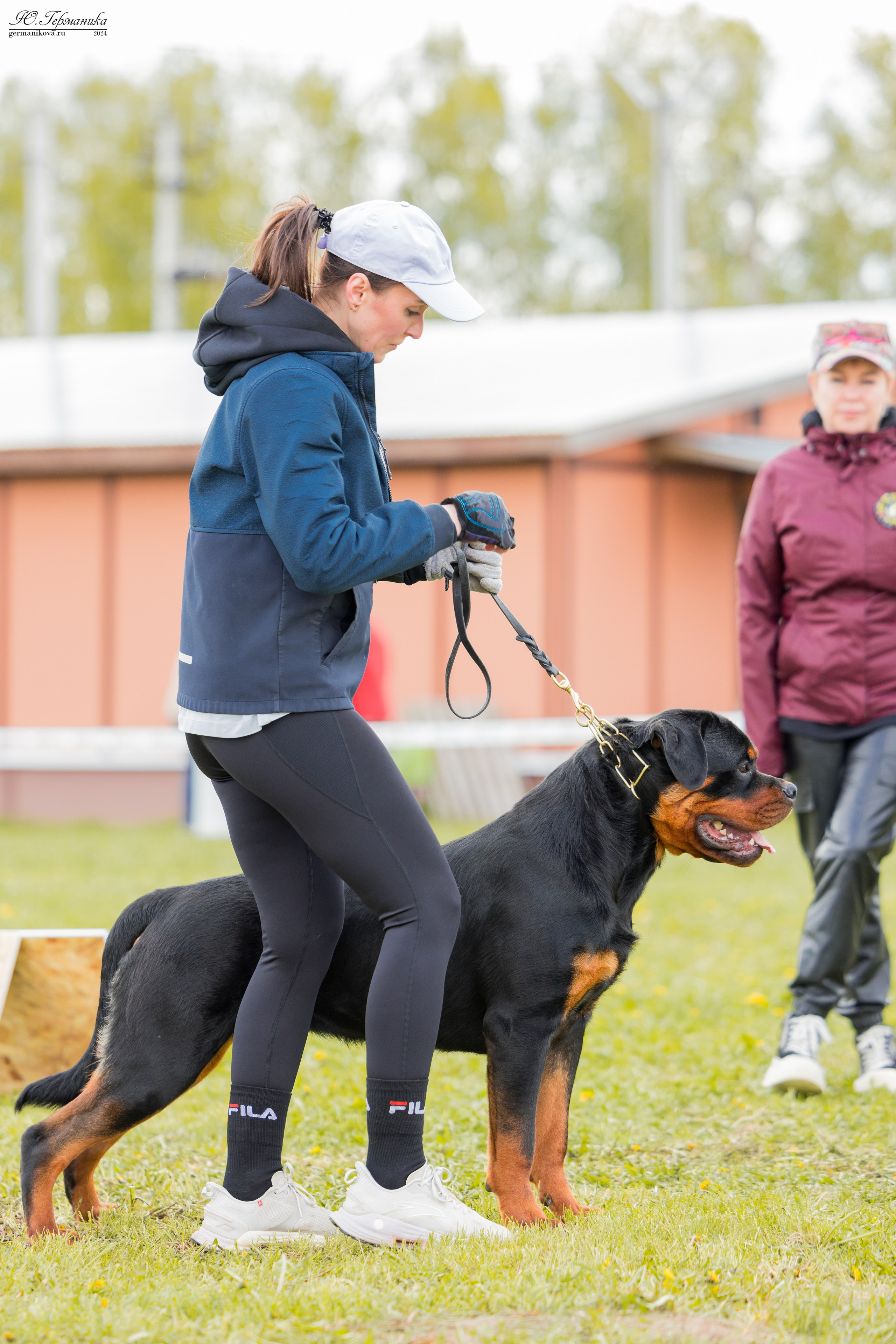 Нижний Новгород 11-12.05.2024 моно ротвейлеров. Фотограф-анималист Юлия Германика