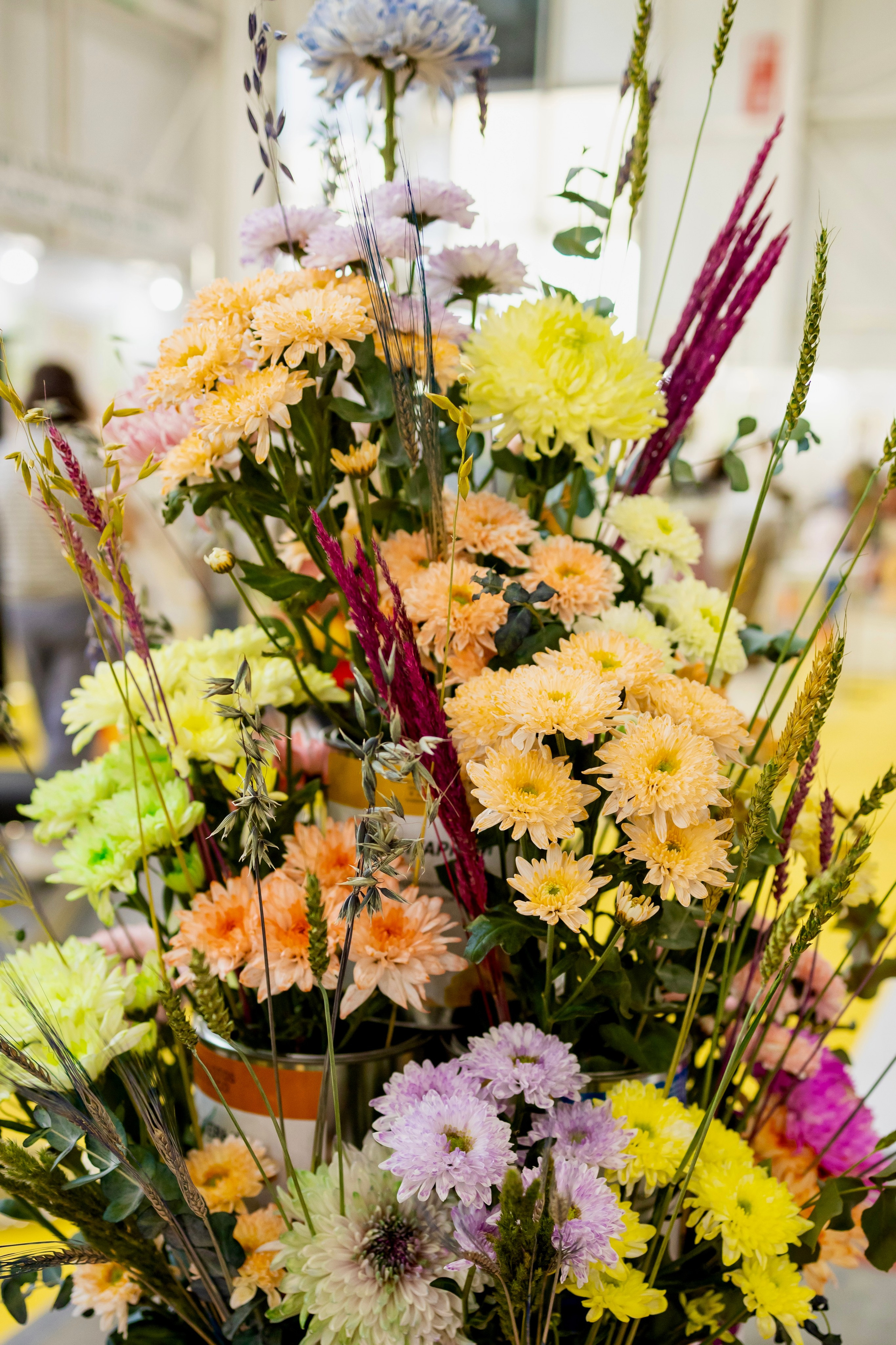 Цветы-Экспо 2025. Фотосессии и репортаж — Фотограф в Москве — Рина Серёгина