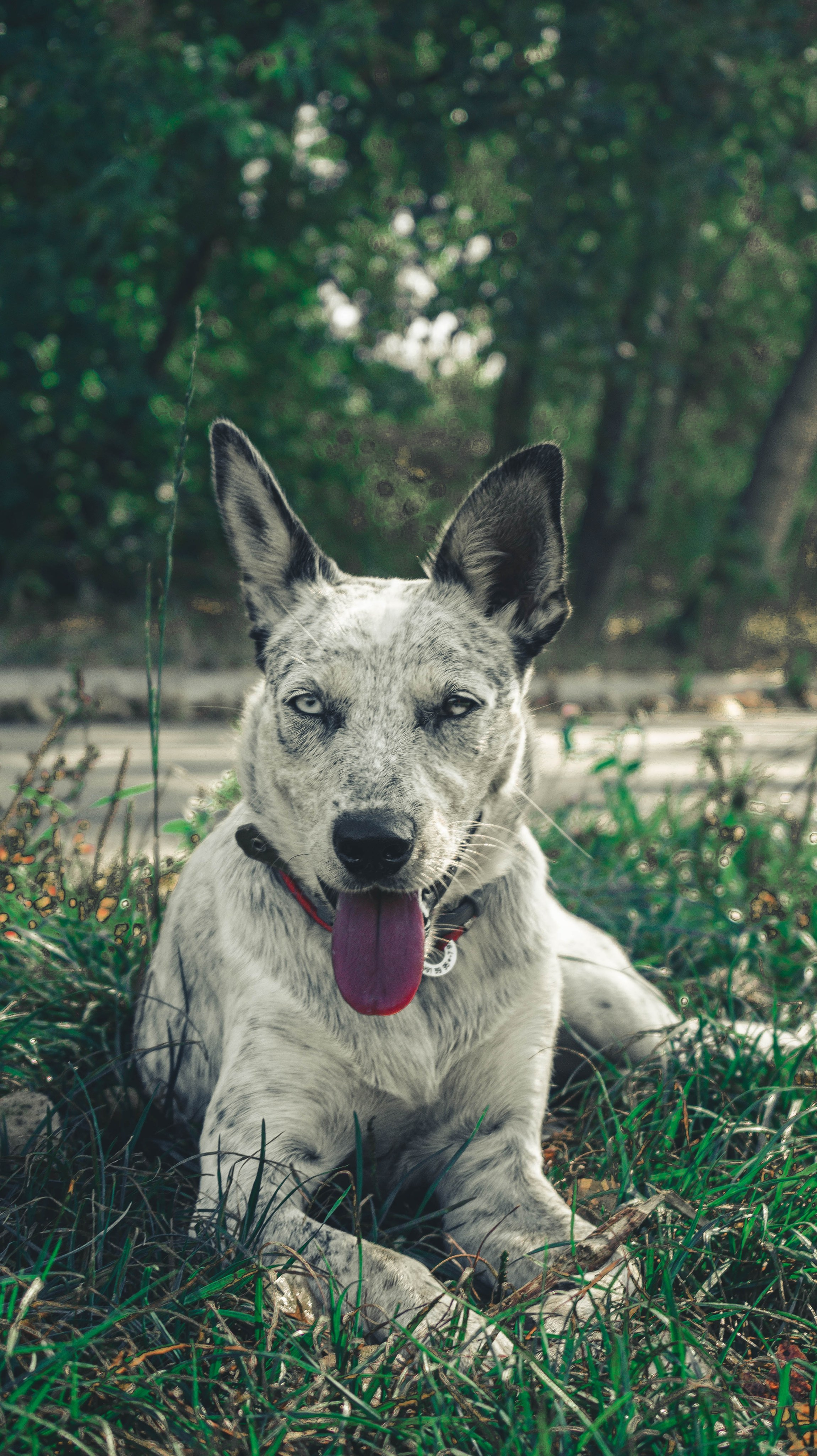 Цунами. Профессиональный фотограф