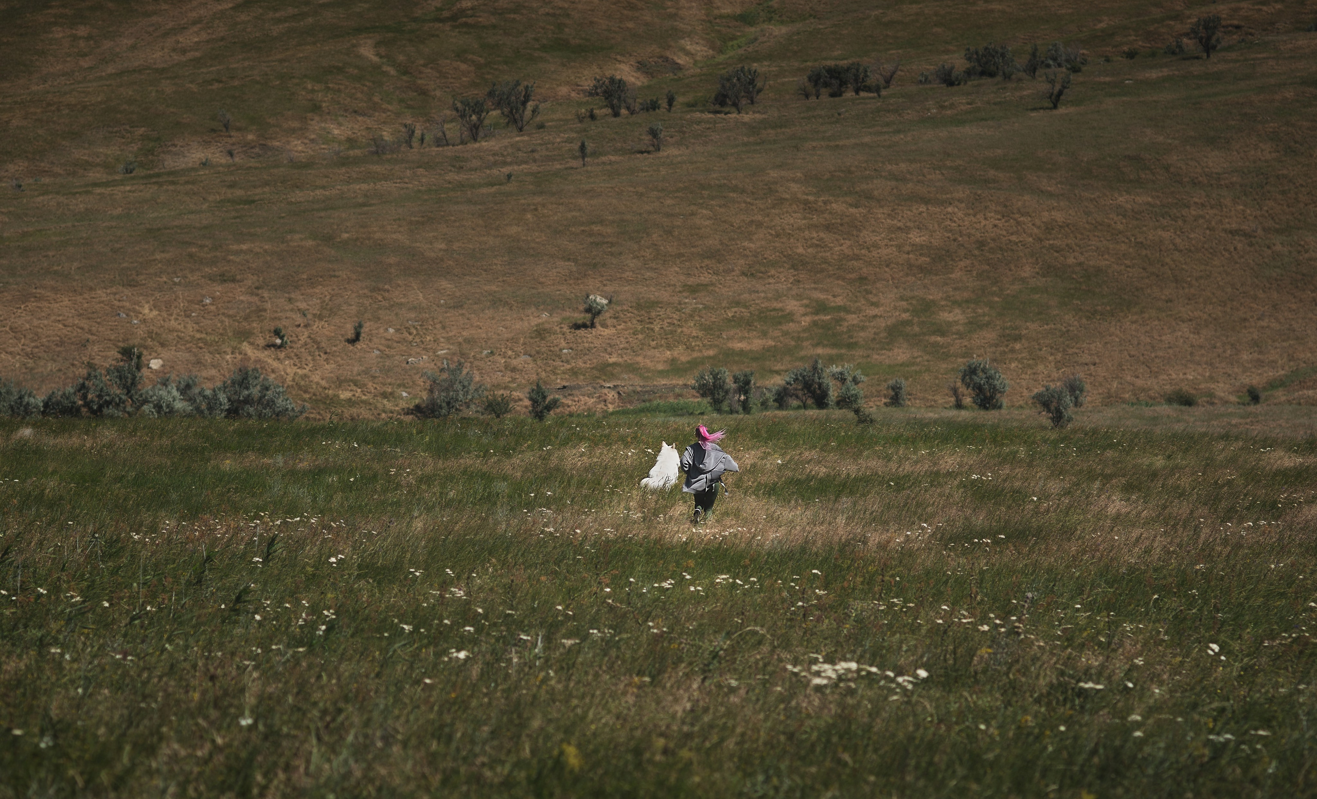 Одно солнечное утро. Фотограф анималист Ставрополь Яна Кудлай