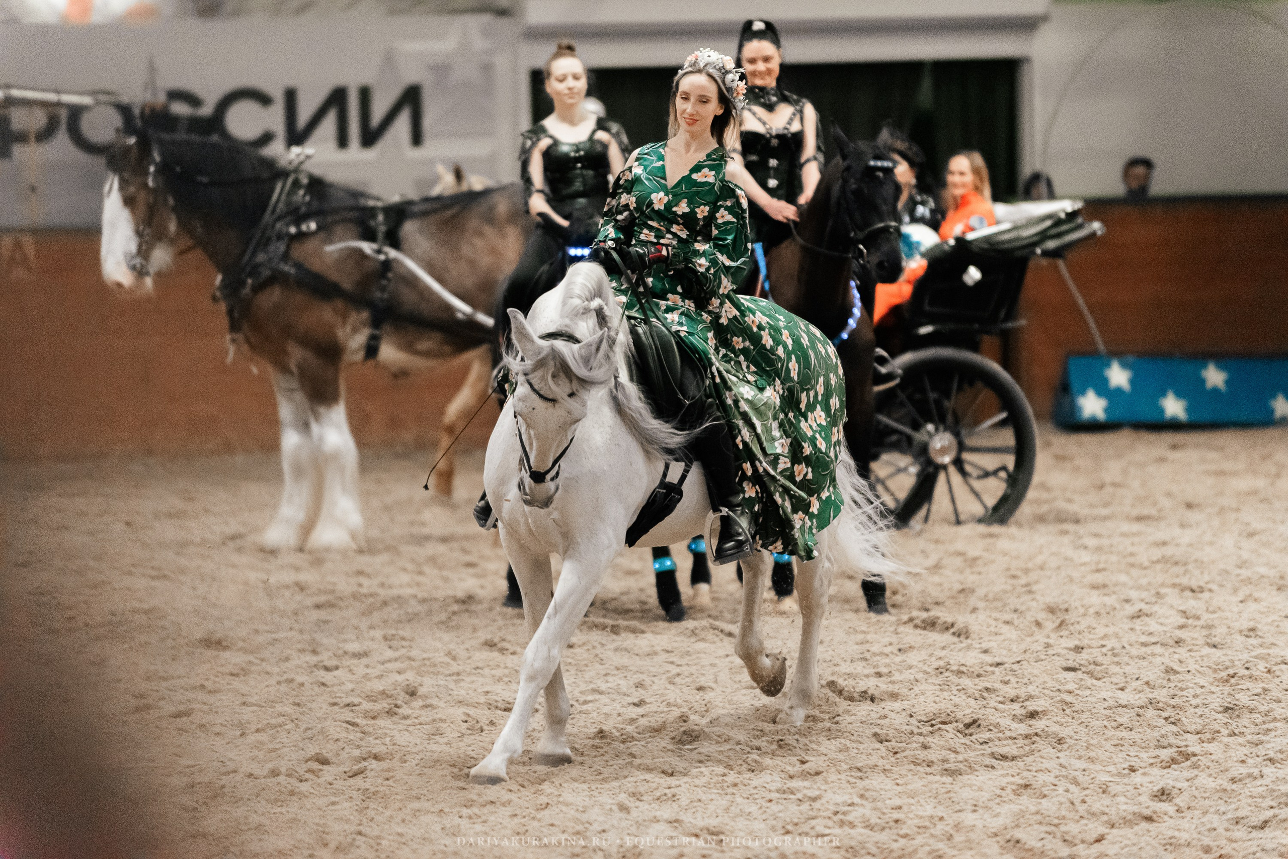Конное представление «Дыхание Звёзд». Конный фотограф Куракина Дарья • Фотосессии с лошадьми