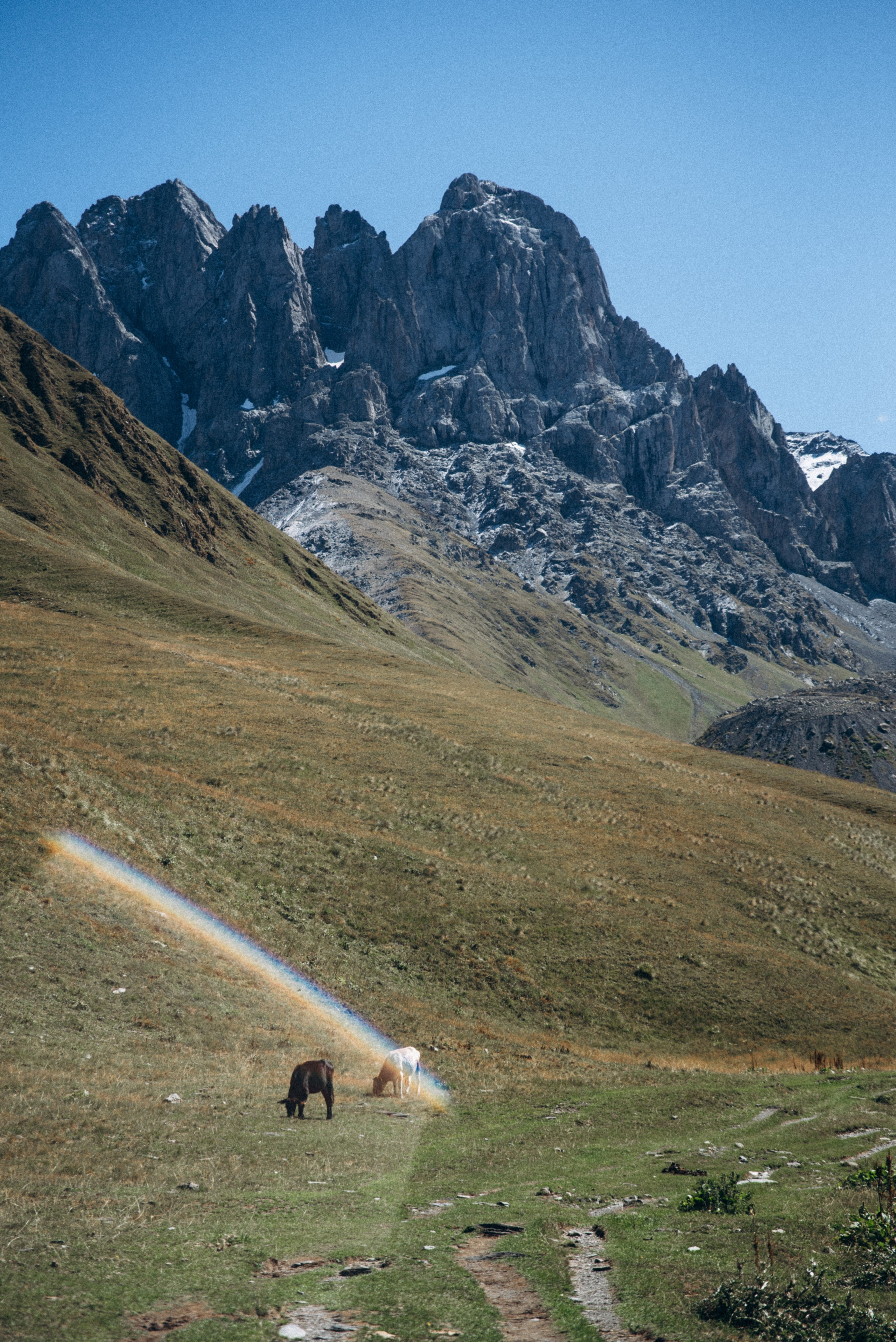Джута, Грузия 🇬🇪 «Honey Trip». Anita_photo