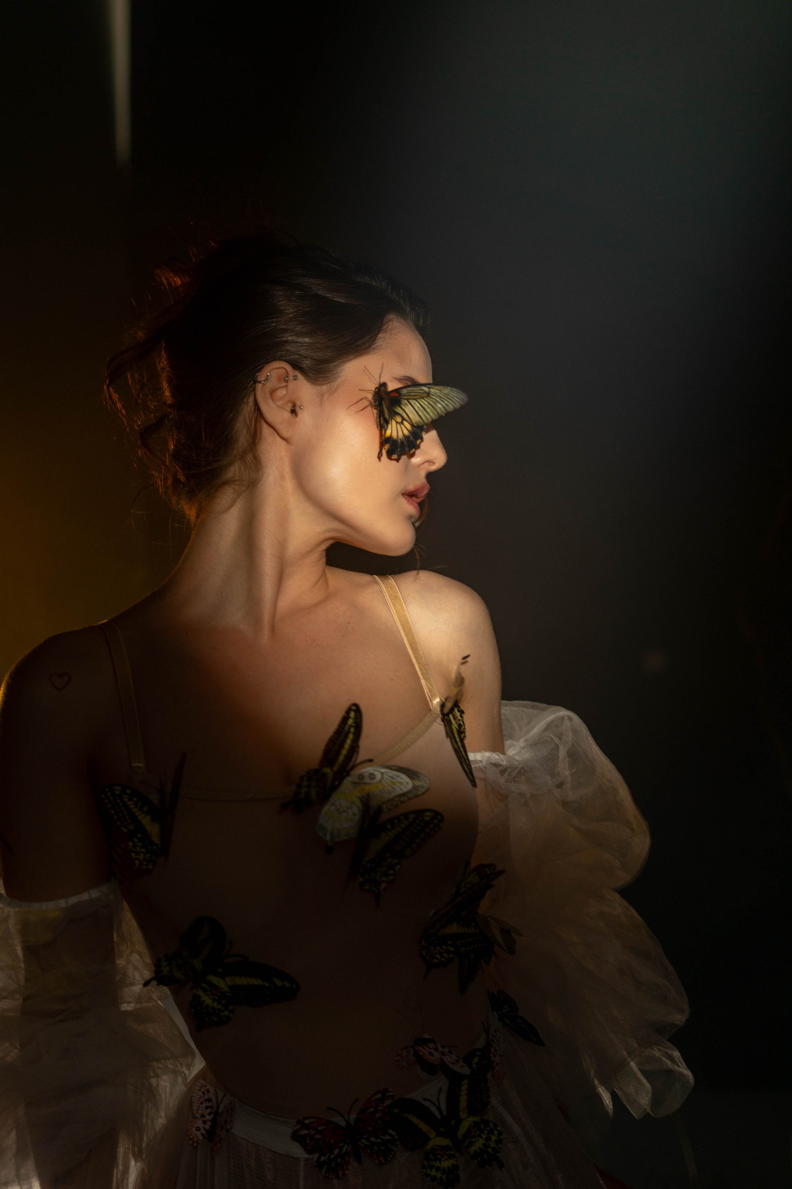 «Лесная чаша». Фотограф