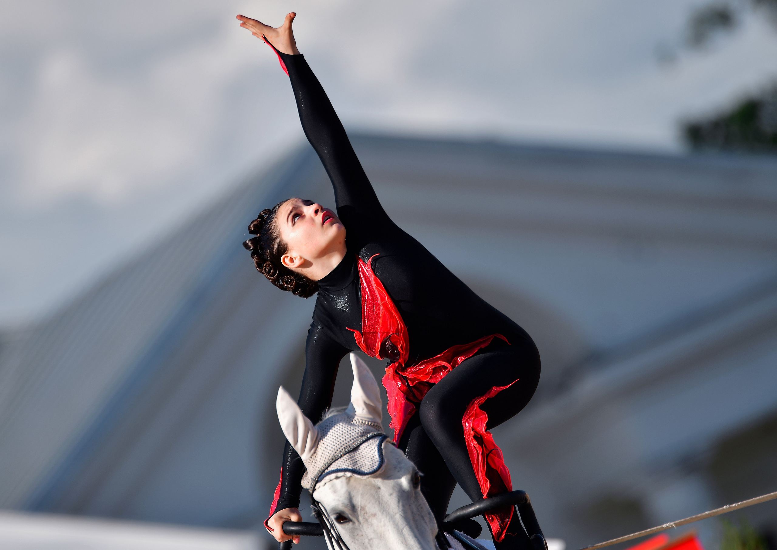 Репортаж Bitriver. Конный фотограф Alesya Safe