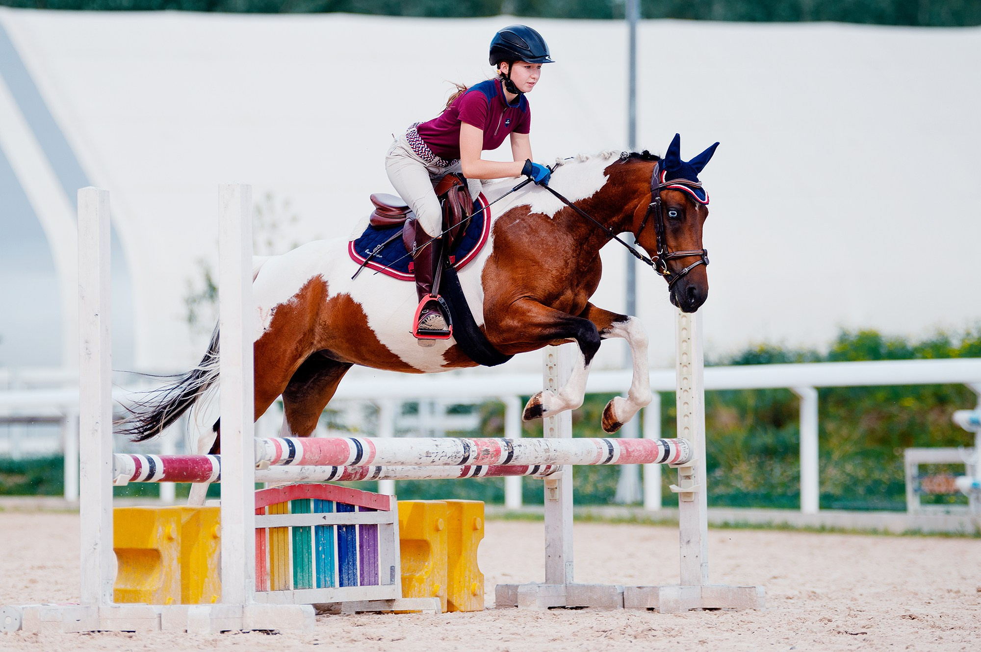 Тренировки. Конный фотограф Alesya Safe