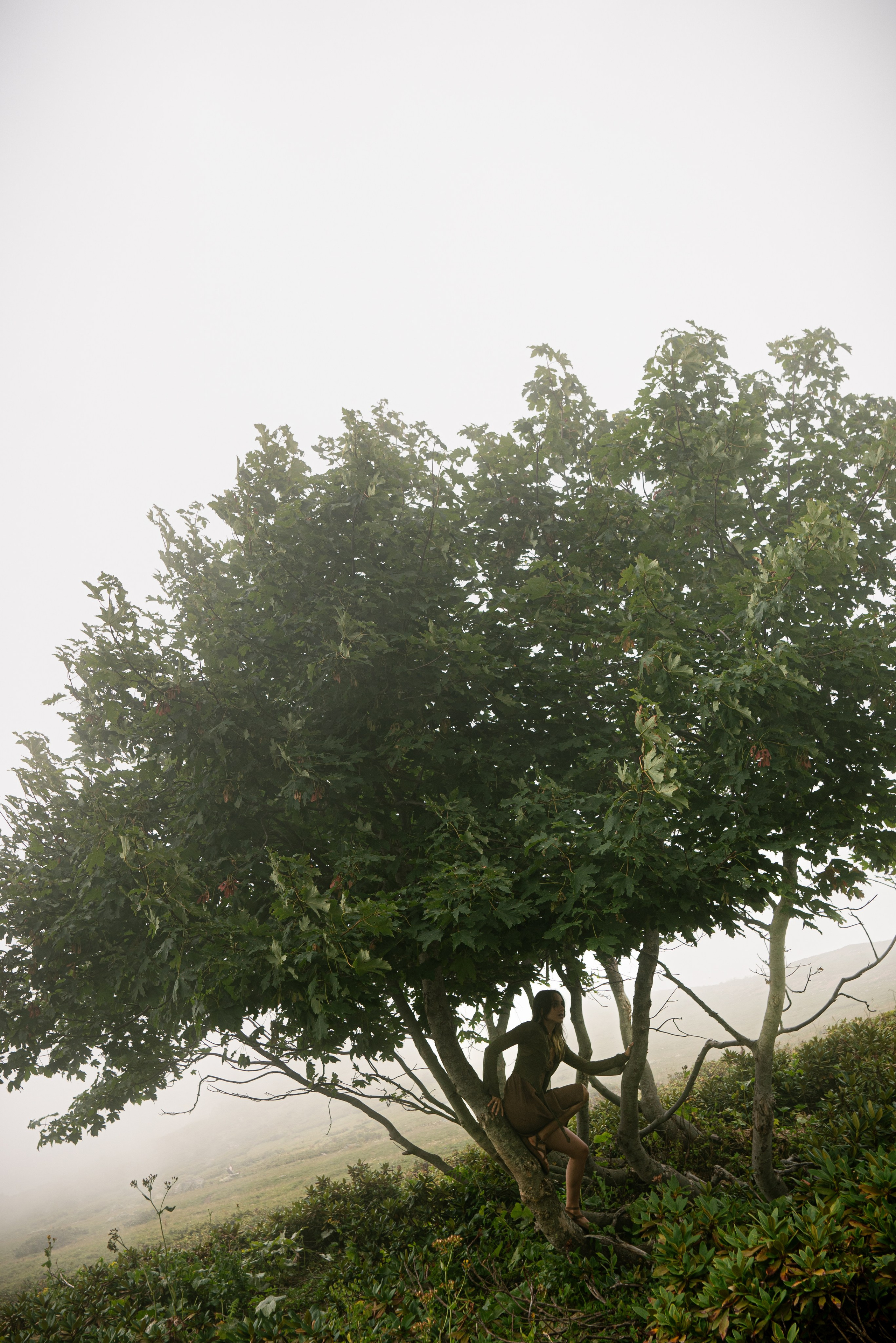 Милость гор. Портфолио фотографа Анастасии Блохиной