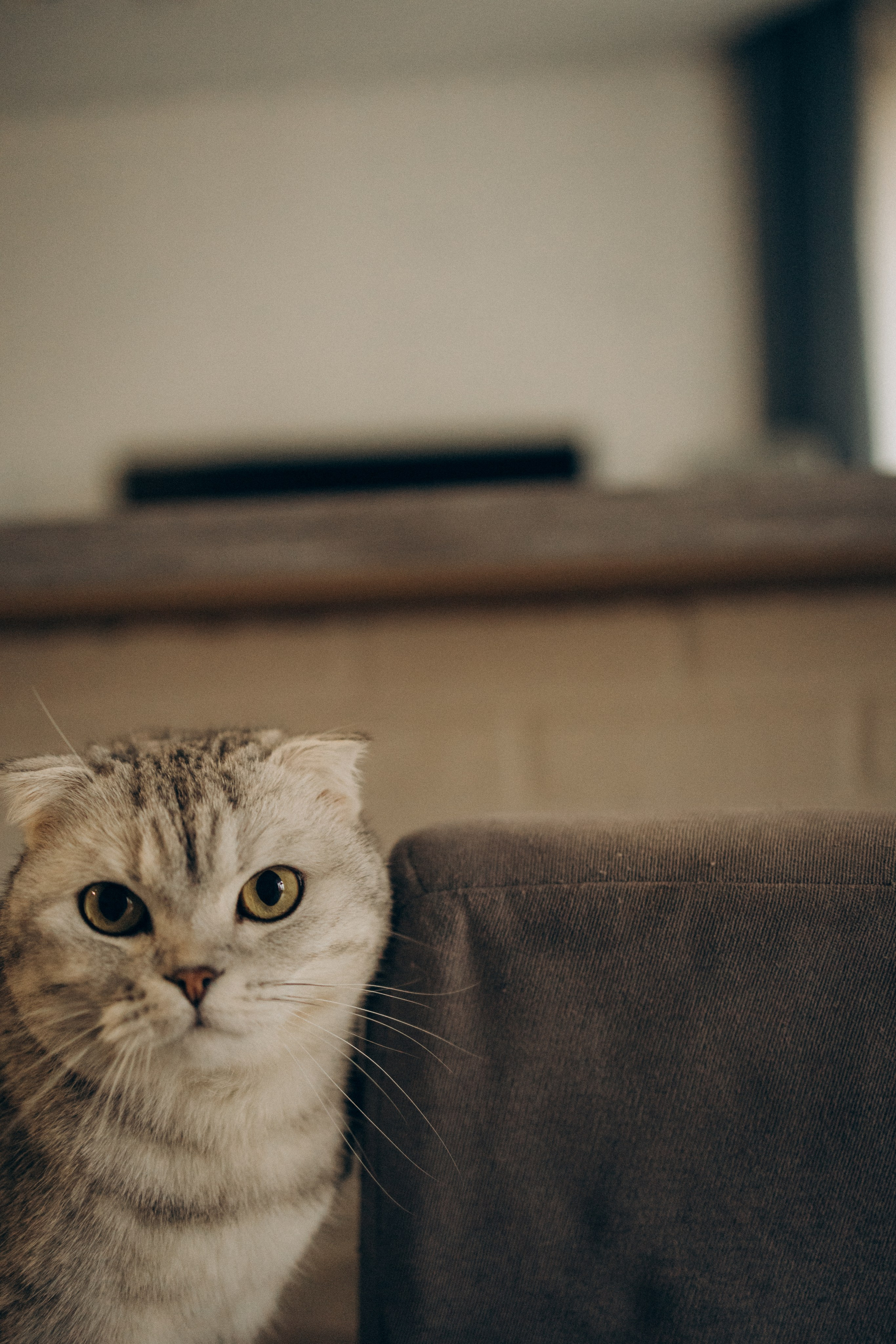 Семейная фотосессия Москва, семейный фотограф в Москве, семейная фотосессия, детский фотограф, семейная фотосессия дома, домашняя фотосессия с малышом, домашняя семейная фотосессия, фотосессия с малышом
