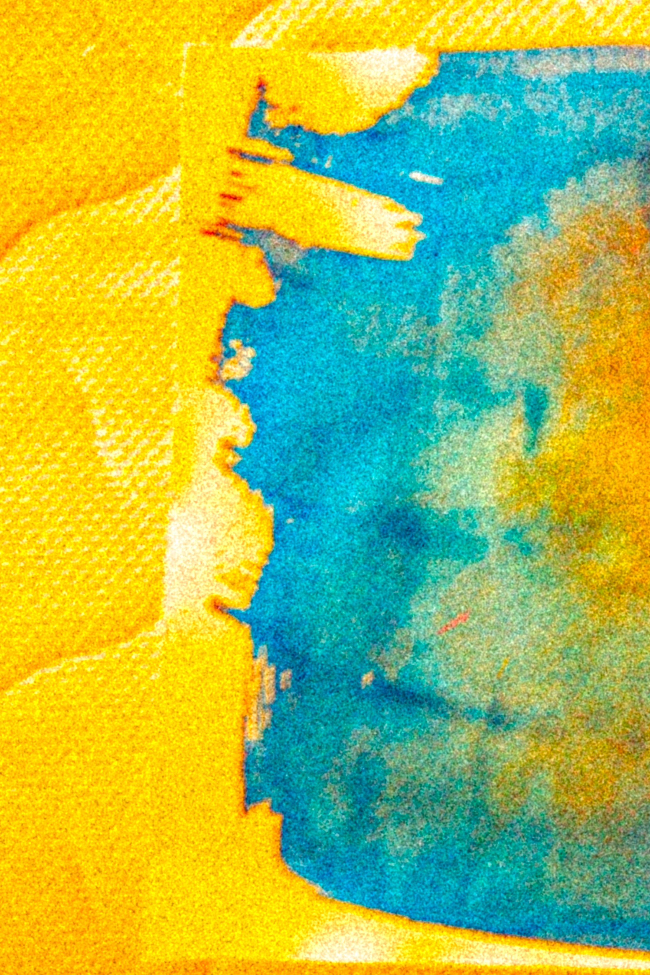 ЦВЕТА, 2025-2026. АННА ВЕРСО / ANNA VERSO | Визуальный художник / Visual artist