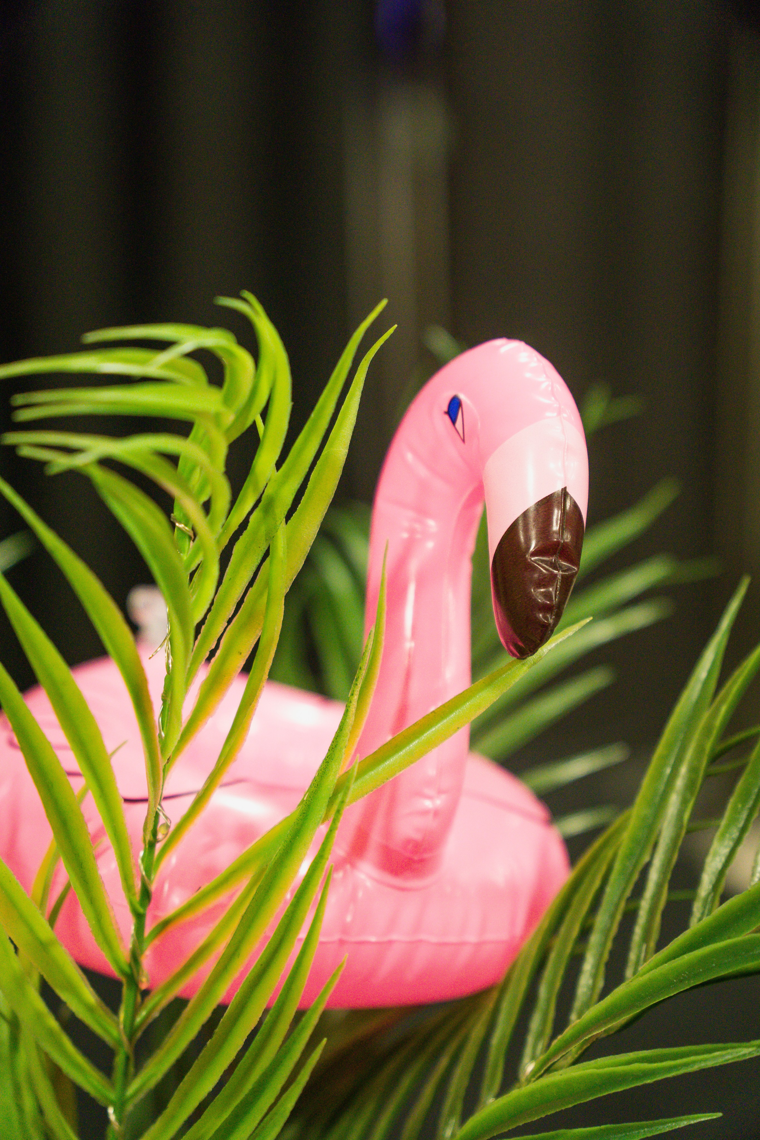 МТС корпоратив Гавайская вечеринка. Фотограф