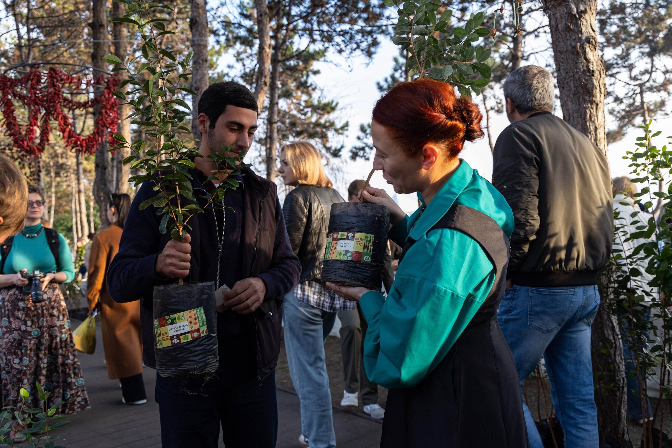 Фестиваль Фейхоа в городе Сухум. Фотограф Красная Поляна — Сочи — Москва