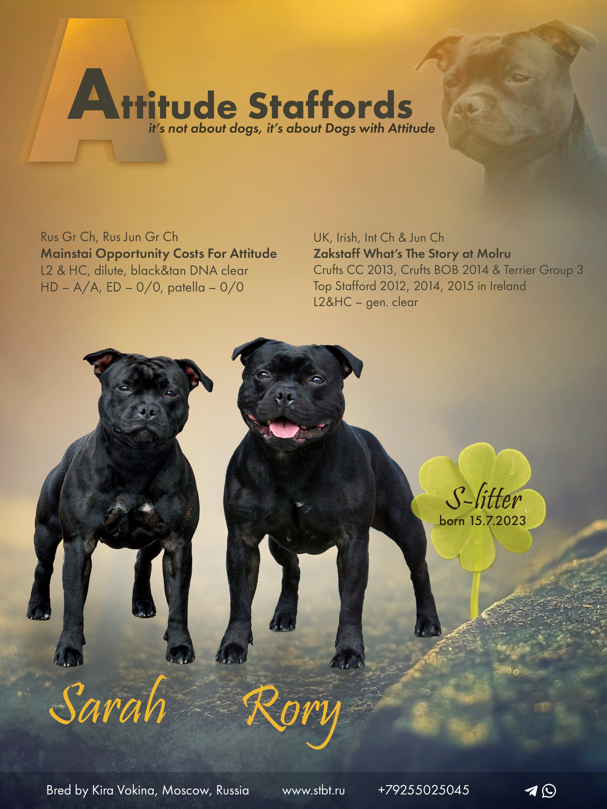 Дизайн. Фотограф-анималист в Калуге Мария Шерскова