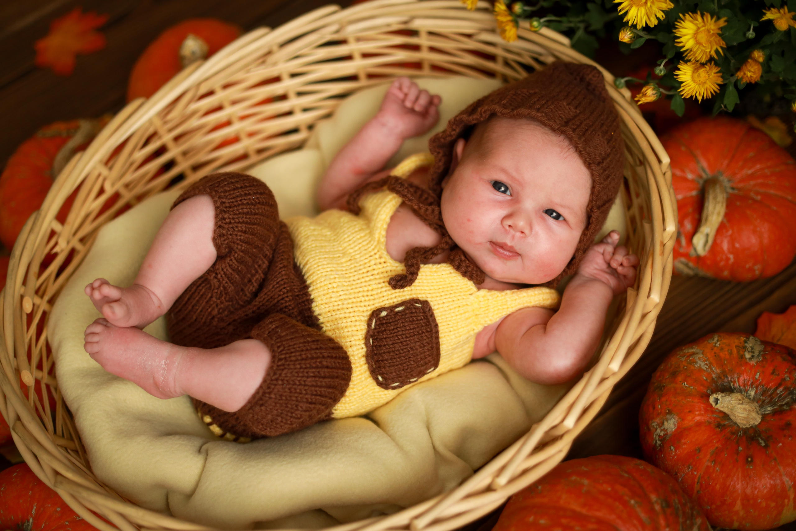 Ньюборн съёмка в студии. Семейный и Детский фотограф в Краснодаре Дарья Насаченко