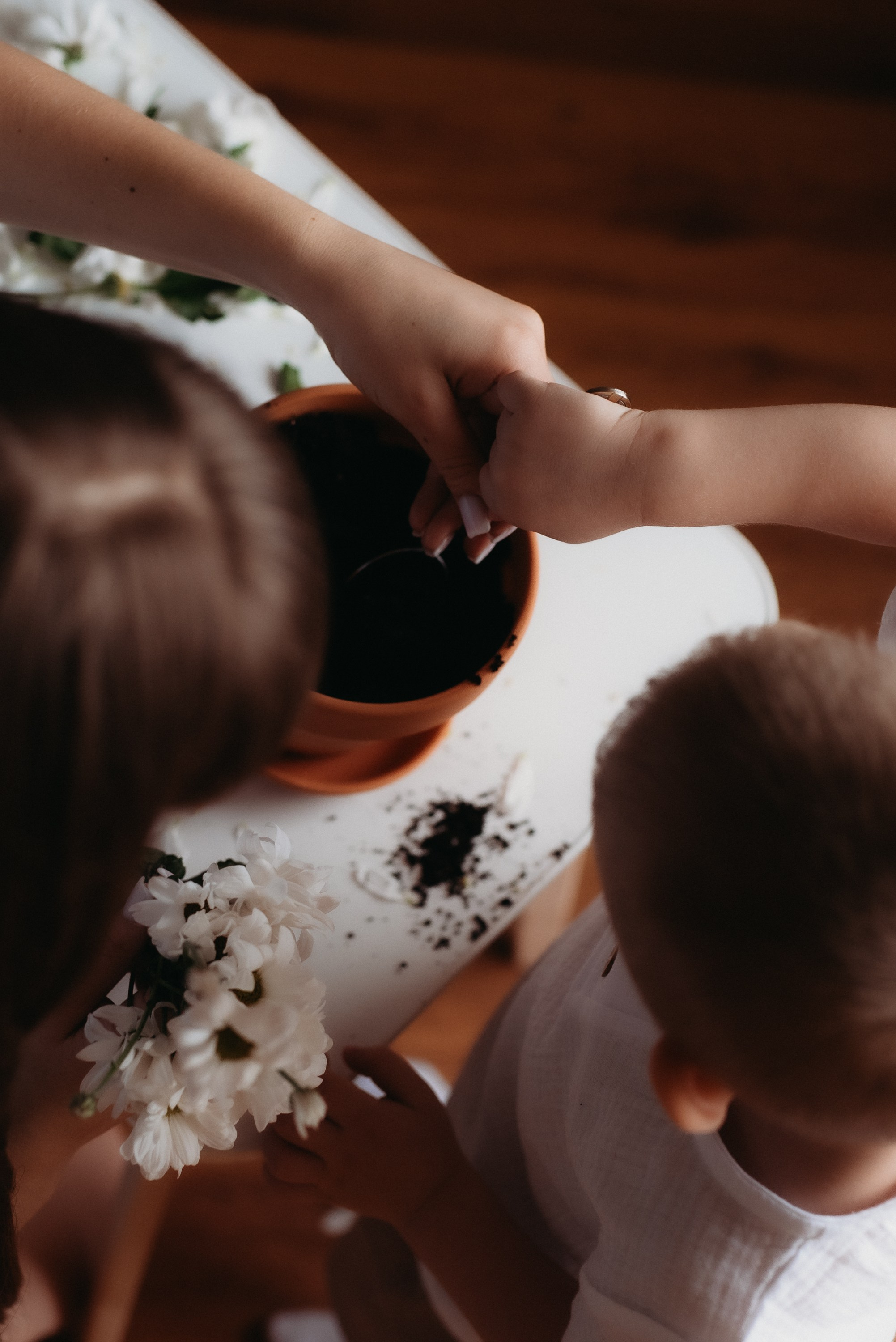 Вика и Саша. Семейный и детский фотограф в Новосибирске и Краснообске — Анна Ким