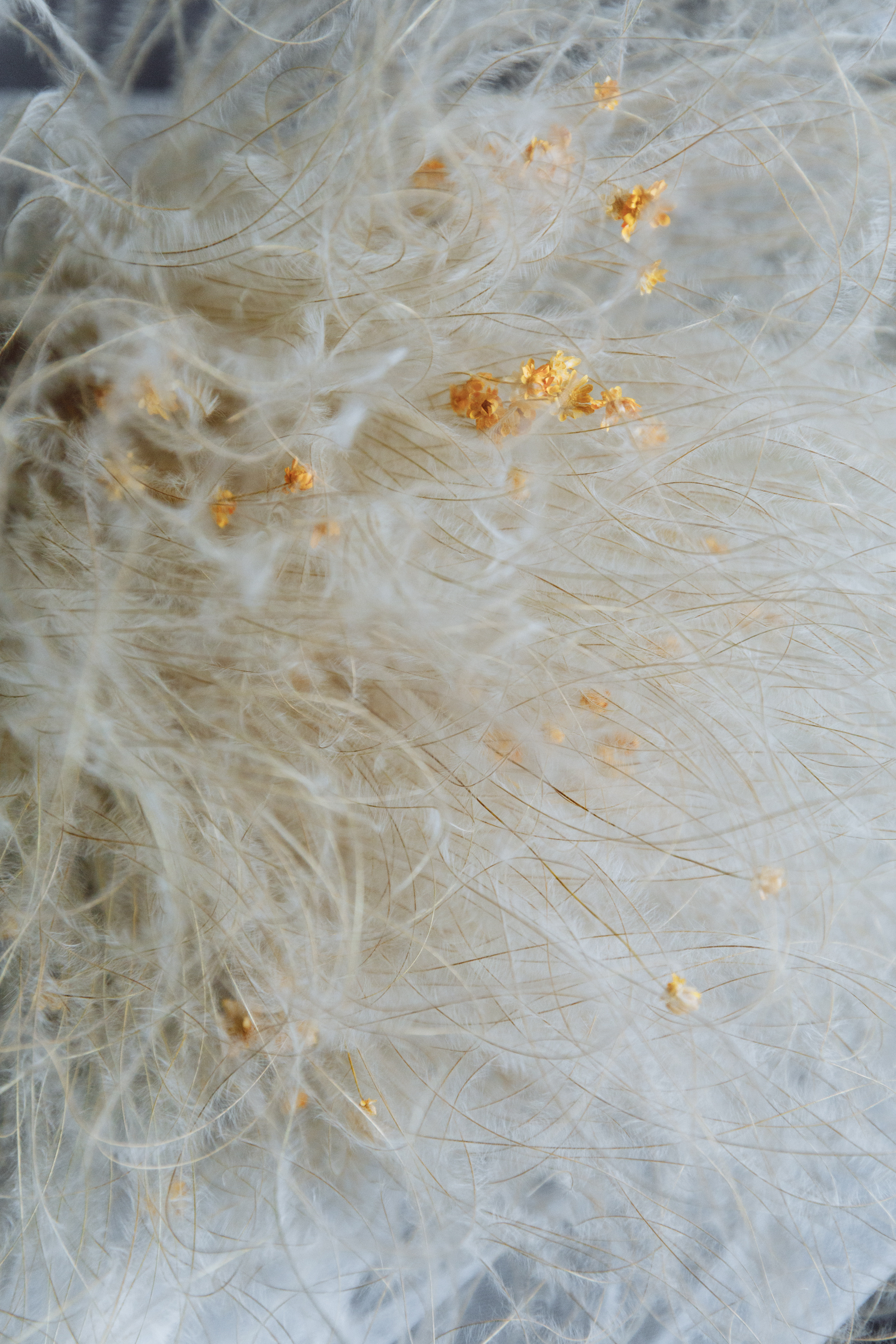 Свадебный анонс Василия и Полины