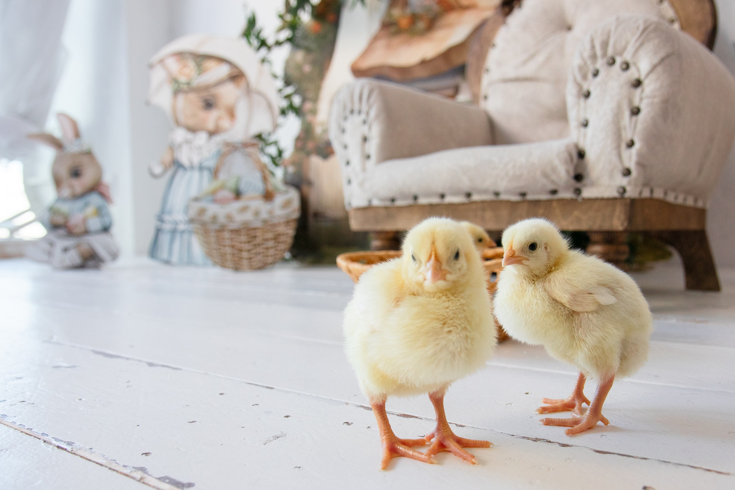 Истории. Семейный и школьный фотограф в Тюмени Елена Бузиновская