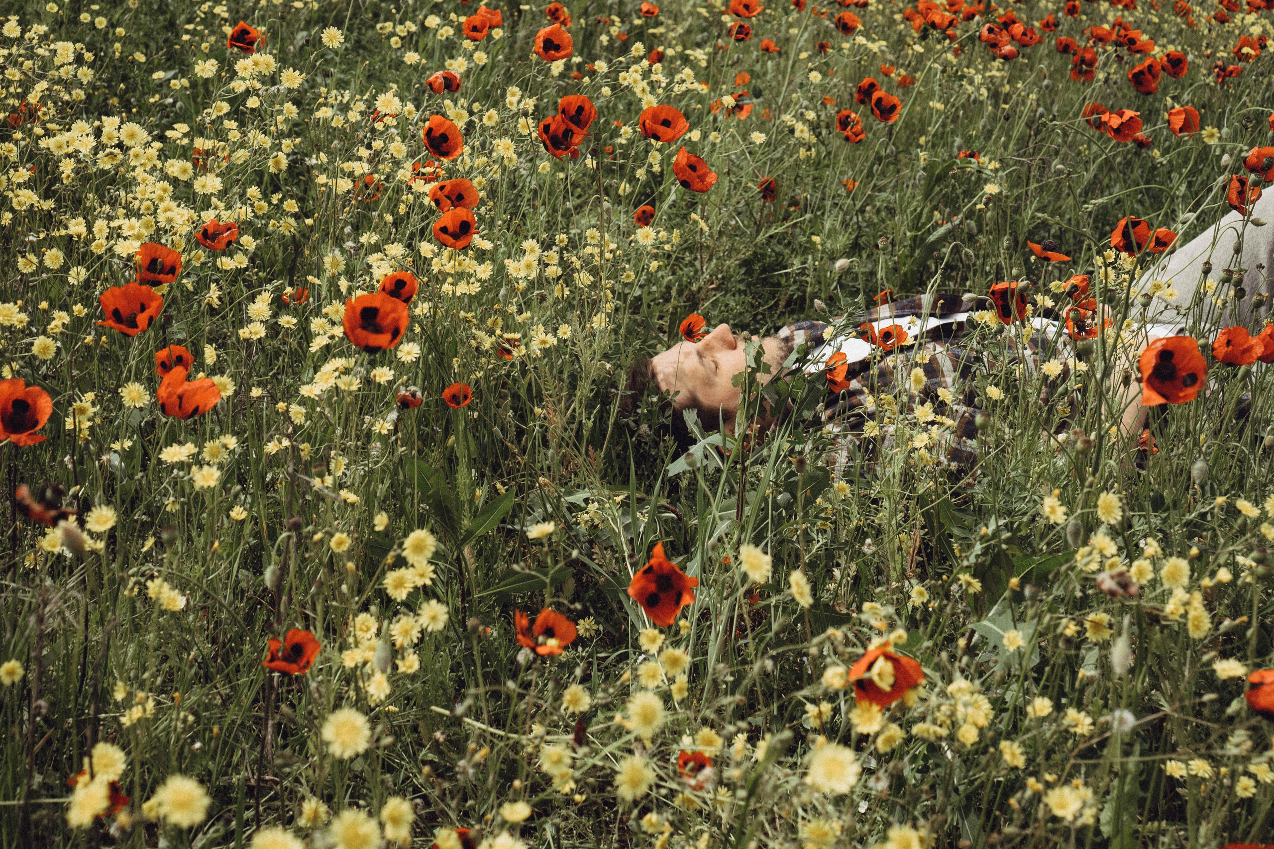 Маки. Профессиональный фотограф, Санкт-Петербург — Виктория Богомолова