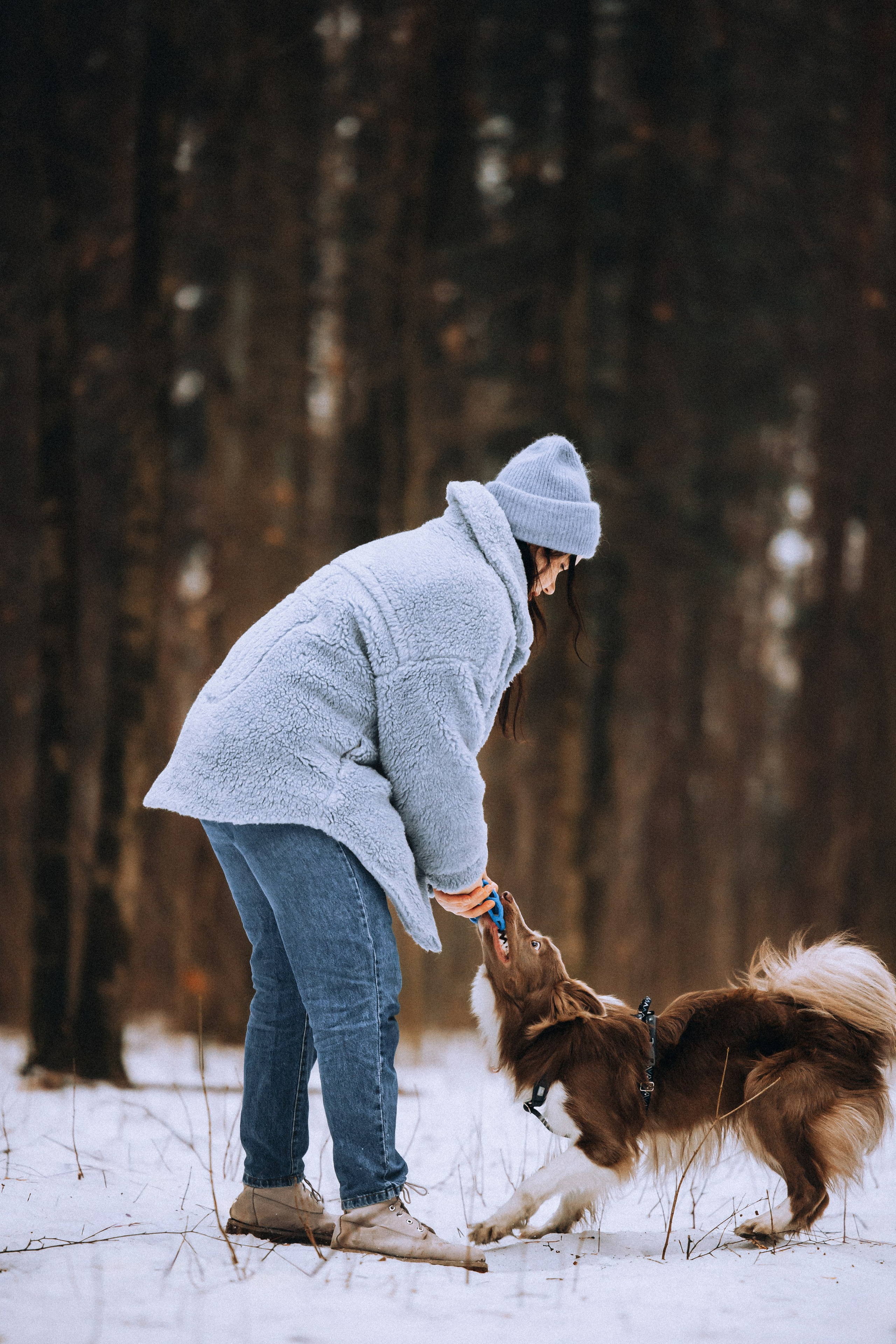 Полина, Милли и Паддингтон