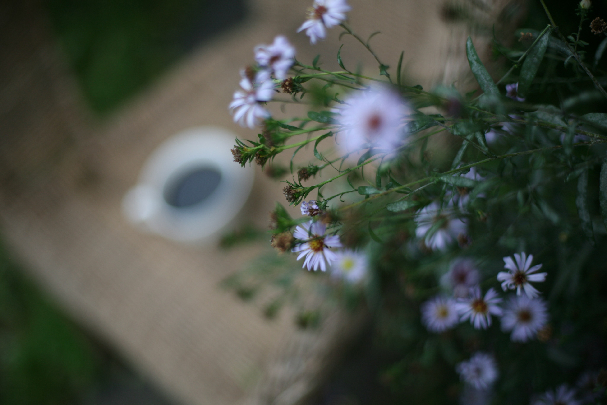 Ускользающее лето. АRТ&PSY | Искусство психологии