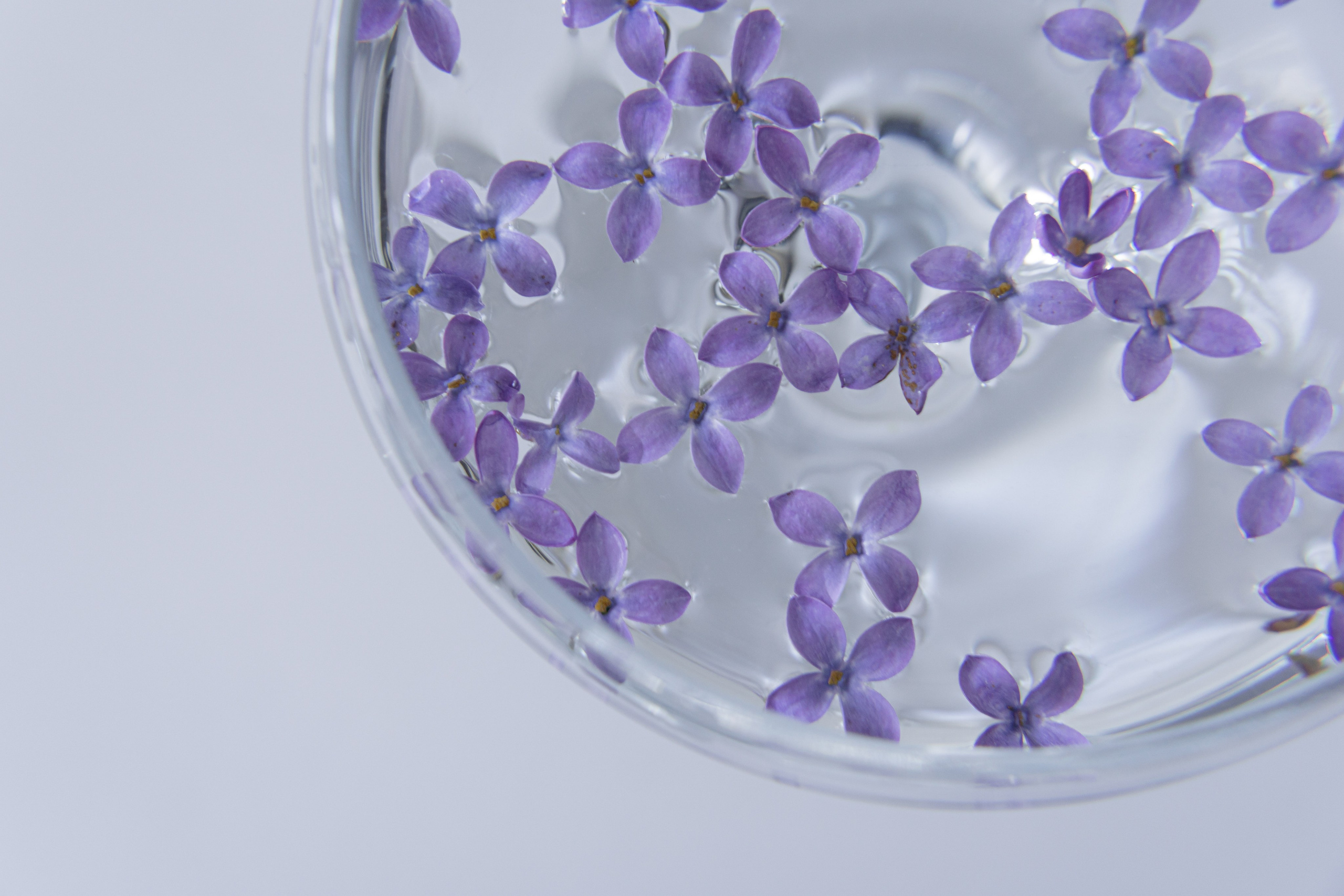 Предметная съемка. Предметный фотограф Санкт-Петербург