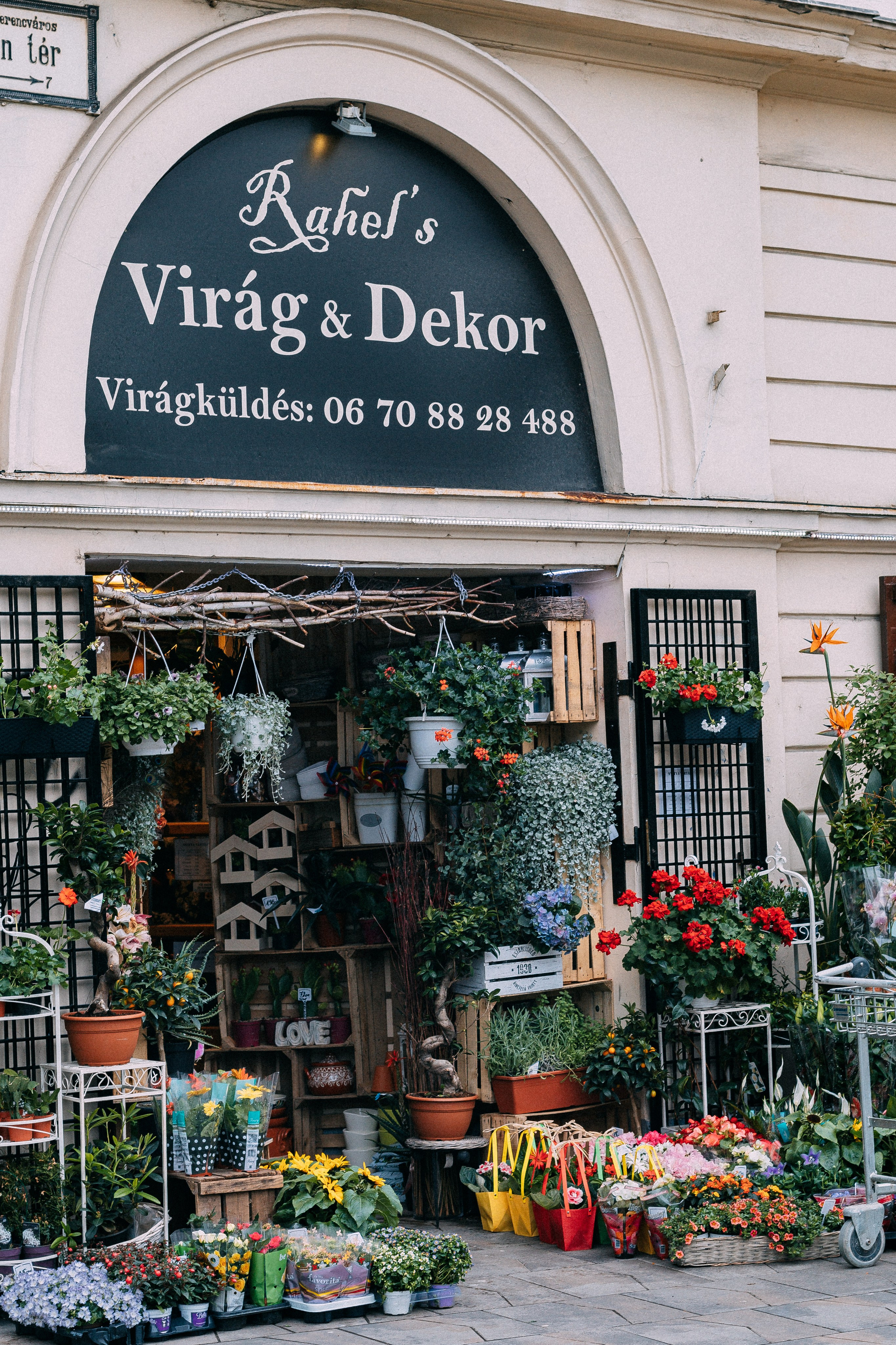 Будапешт. Аня Степанова