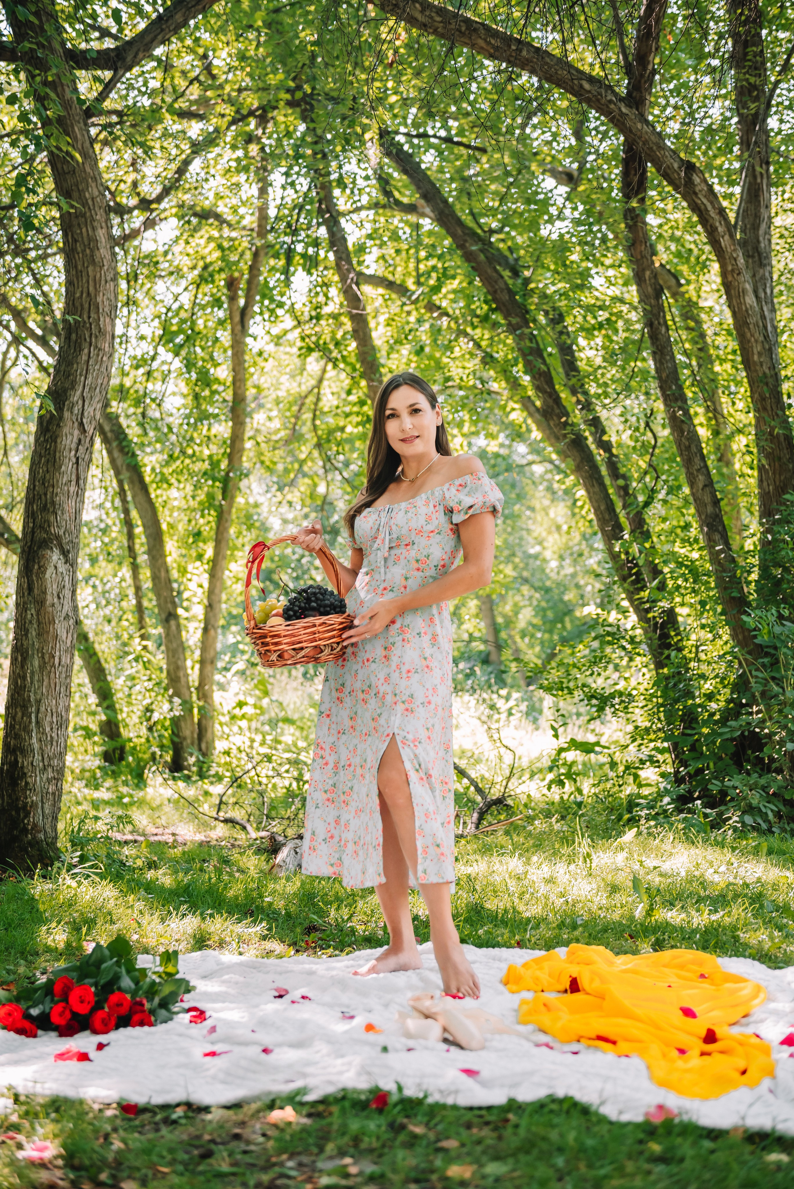 LEVITA (пикник)