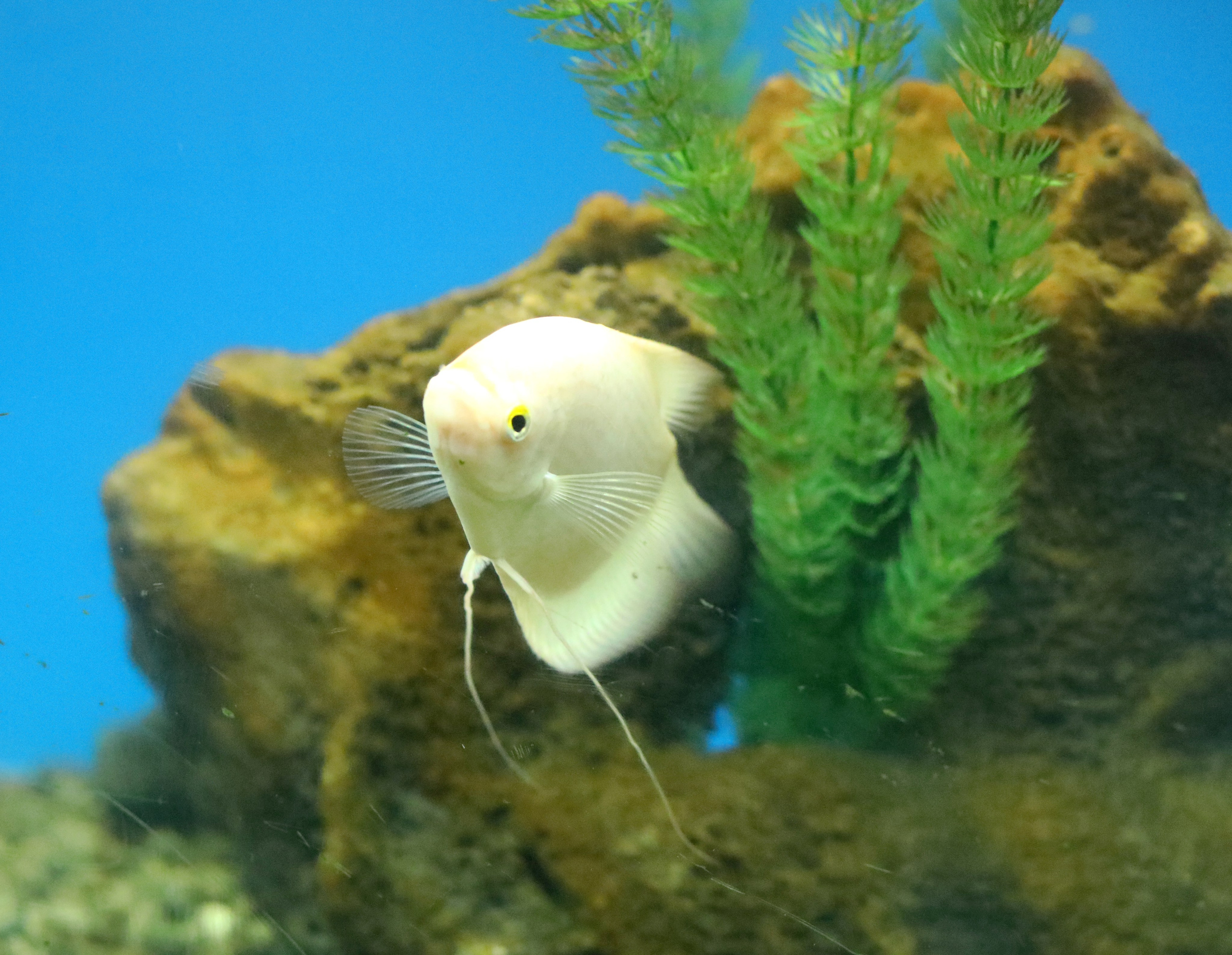 Ростовский зоопарк. Фото-художник и Репортажный фотограф Николаев Александр Алексеевич