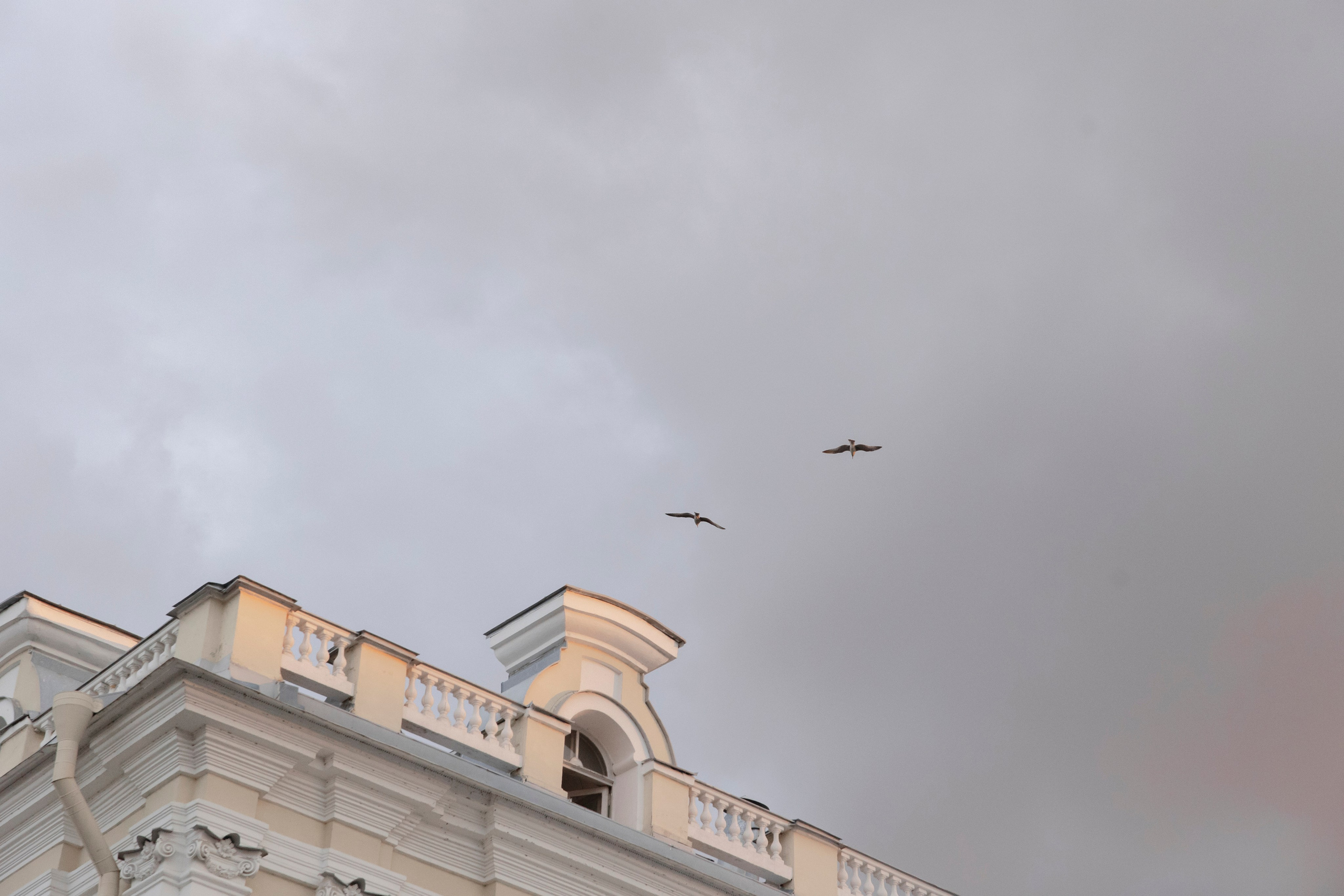 Полина & Даня. Wed Photographers 📷 Saint Petersburg