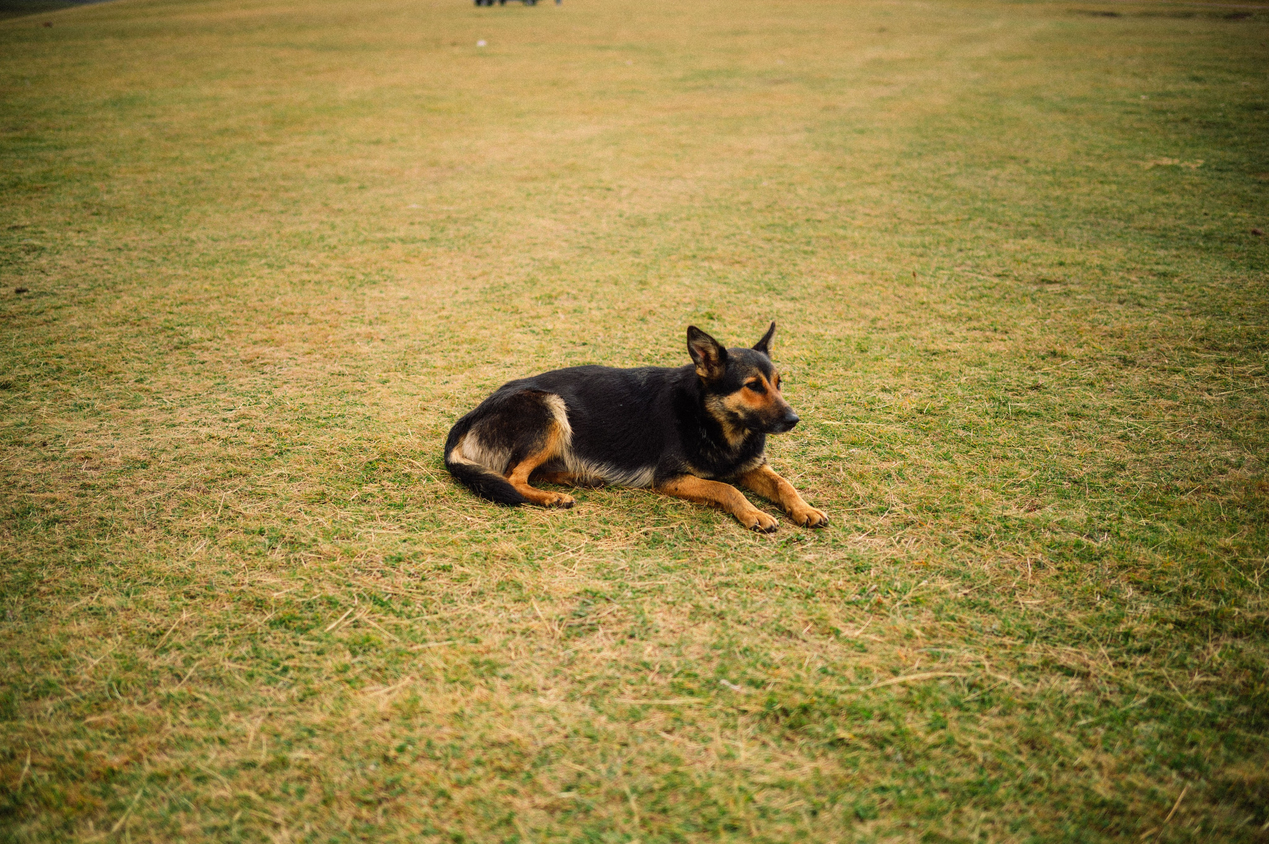 Плато Ассы: июль 2025. Фотограф в Алматы — Дарья Фёдорова