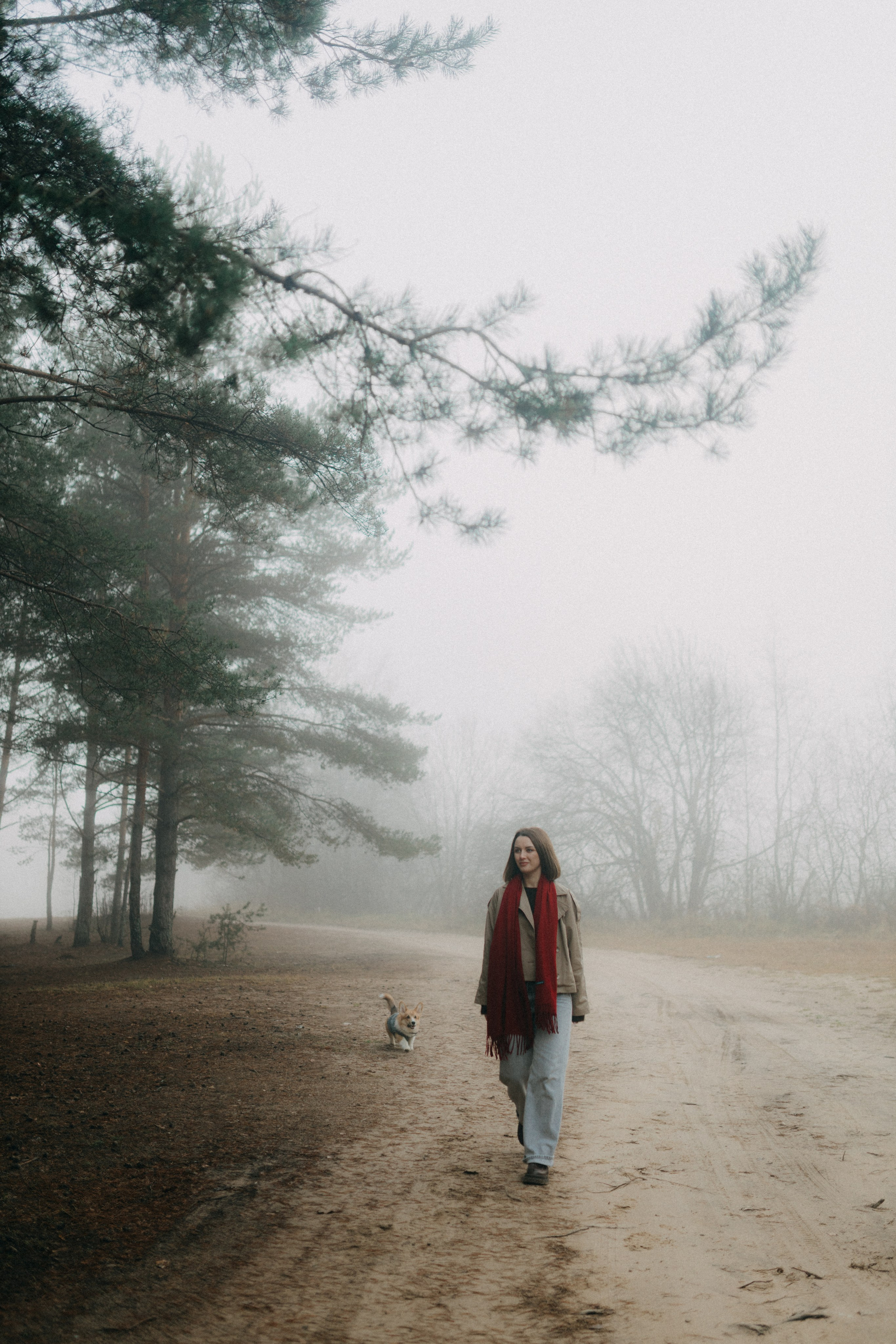 Алина. Фотограф НОГИНСК, Москва, Анастасия Белая