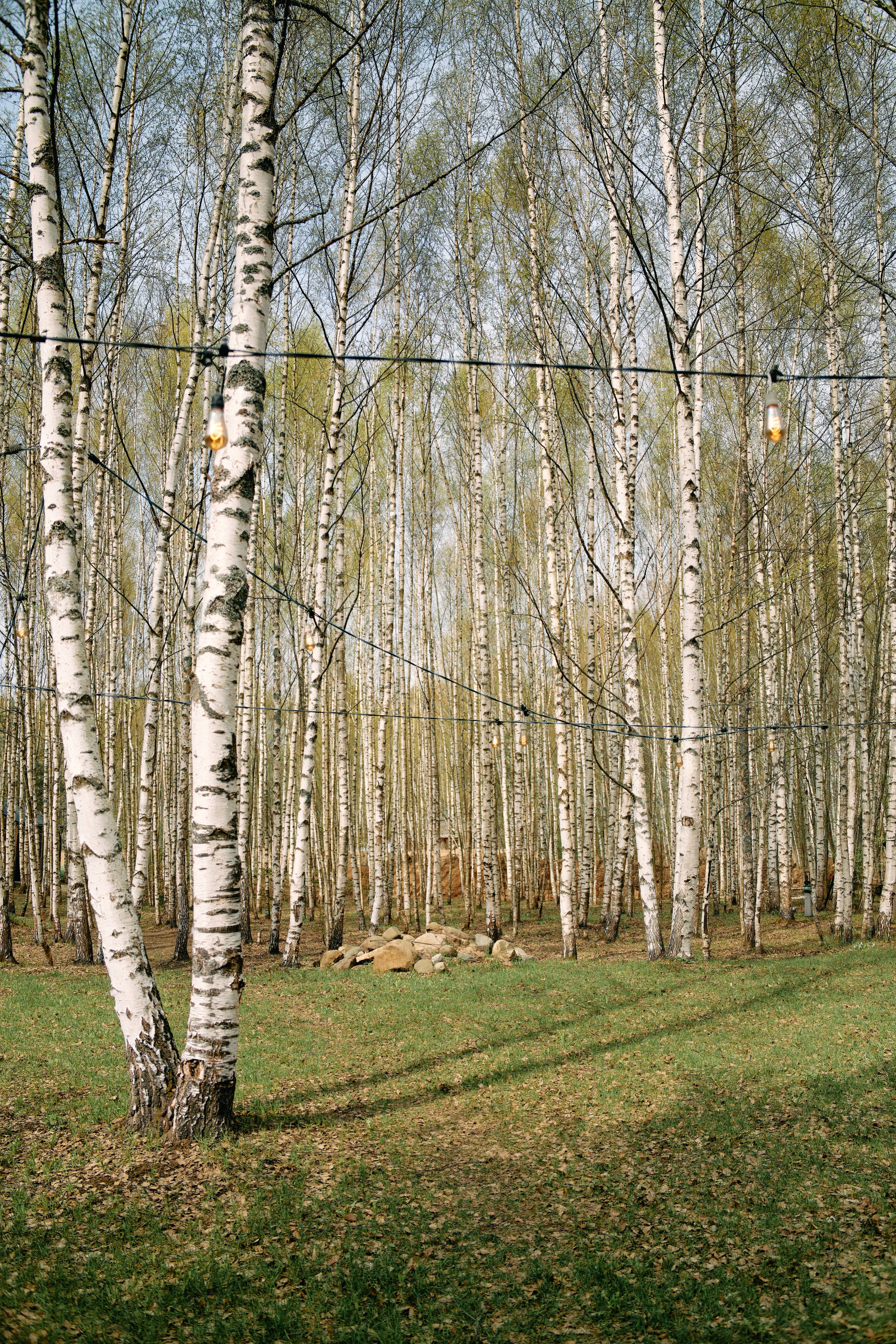 Бутик-отель Поле летом. Профессиональный Фотограф во Владимире, в Москве и в Суздале — Полина Романычева