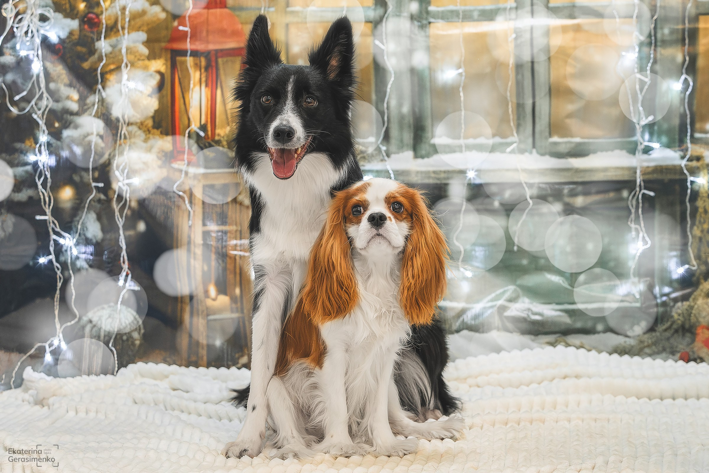 Фотодень. Htykk_photo