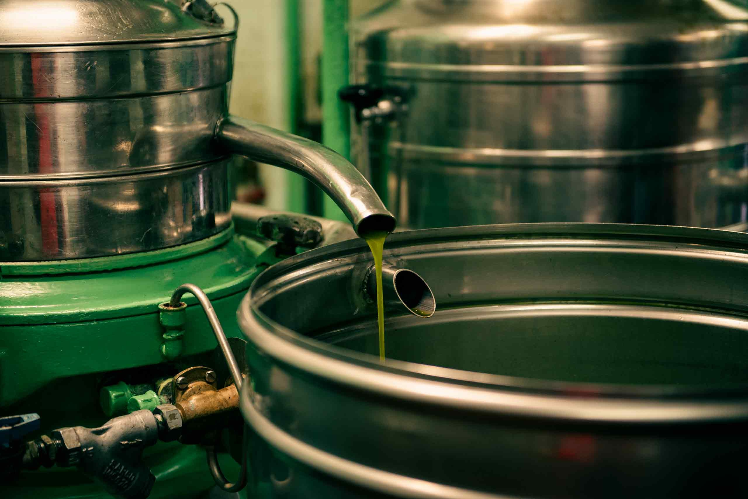 Крупный план свежевыжатого золотисто-зеленого оливкового масла, льющегося из современного пресса в большой сборный контейнер на маслобойне Frantoio Tistarelli в Тоскане.