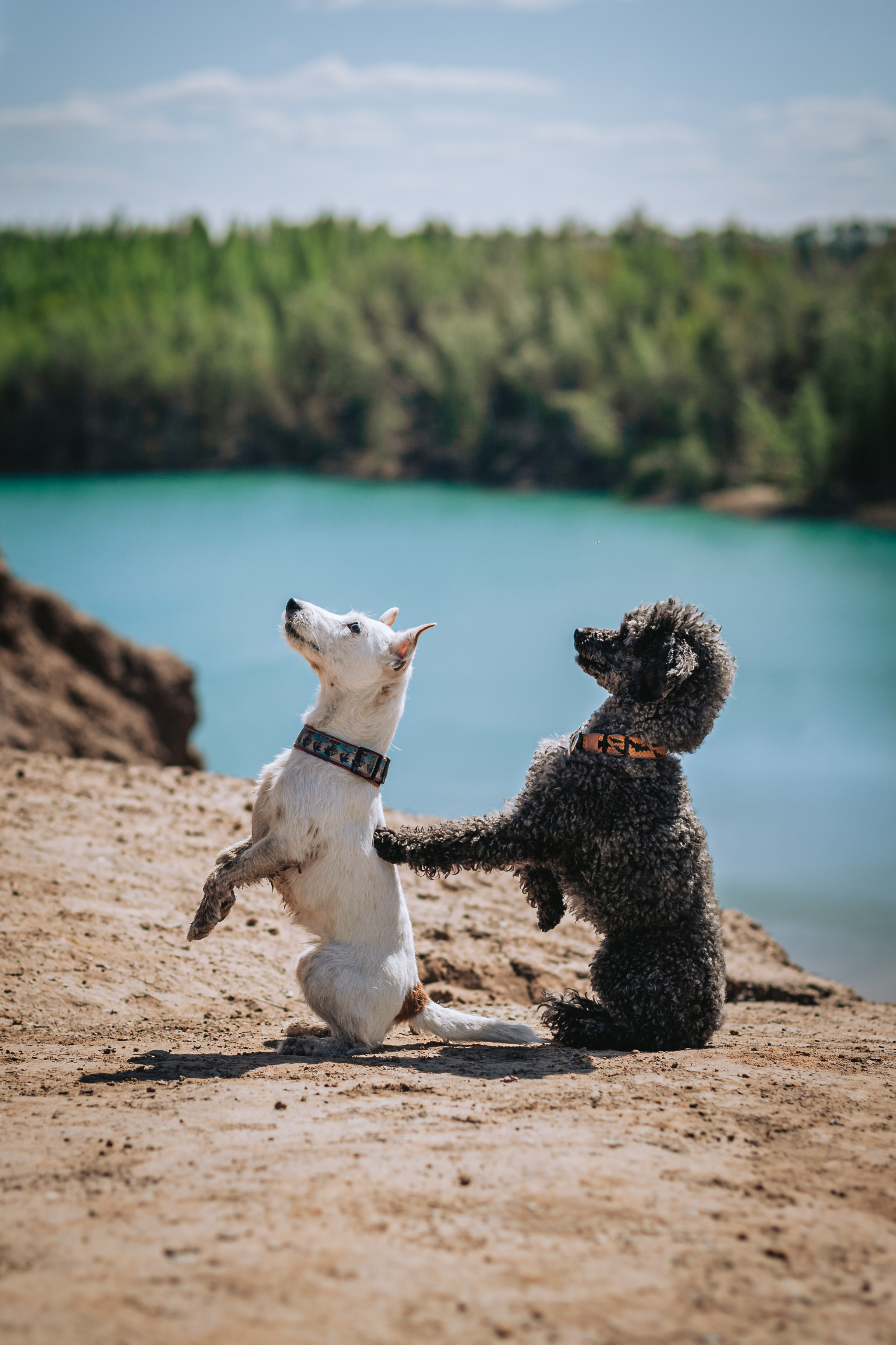 Кондуки. Фотограф-анималист Татьяна Степанова