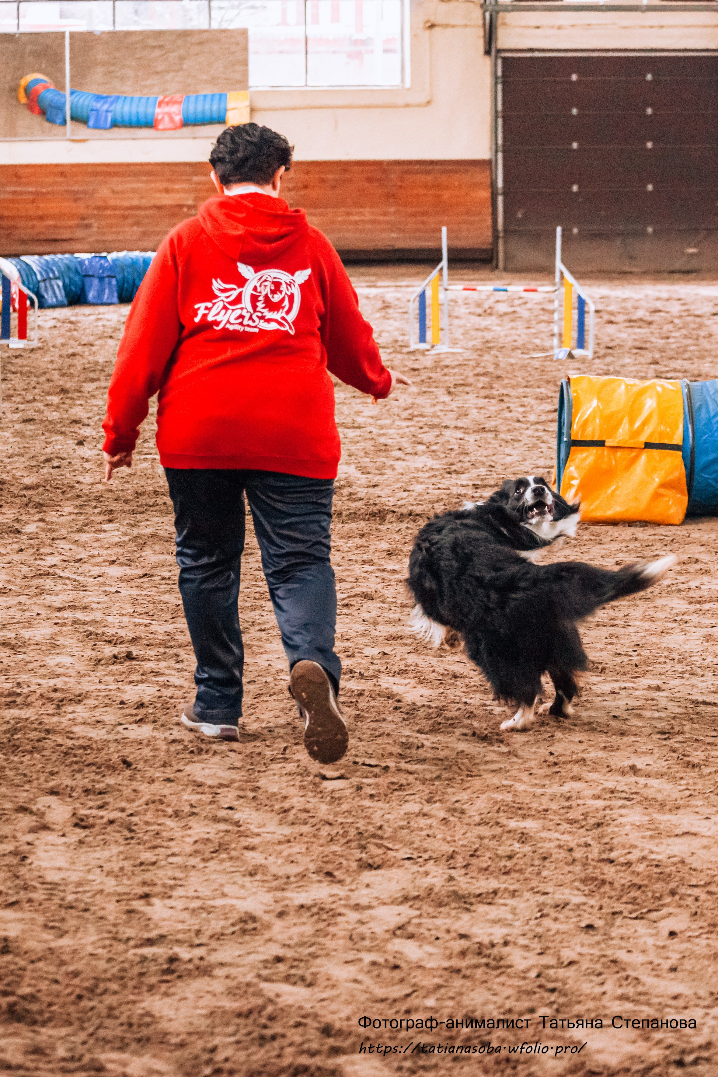 Соревнования по Аджилити 25.02.2024. Фотограф-анималист Татьяна Степанова