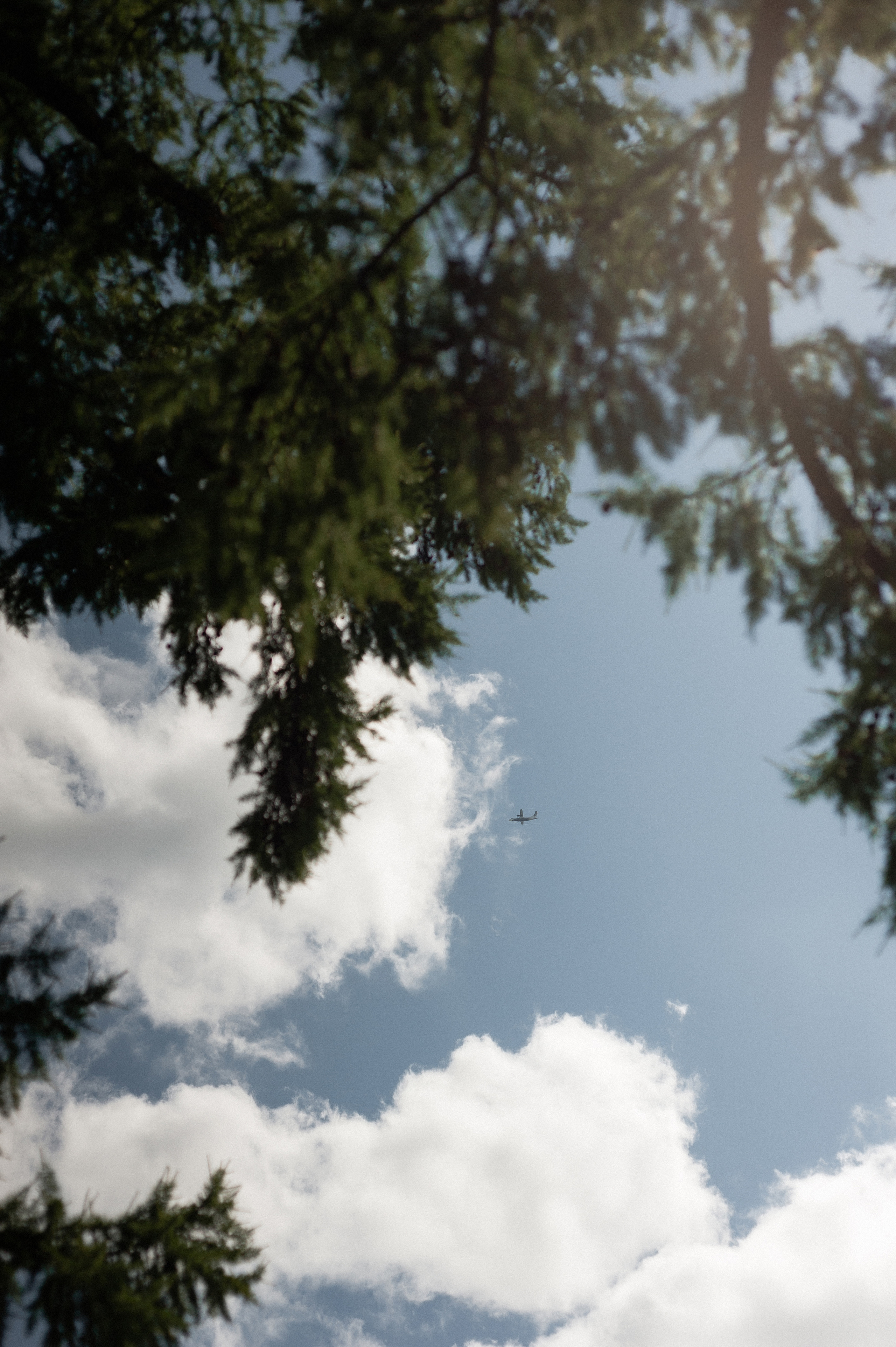 Пикник. Свадебный фотограф в Кызыле Ай-Херел Ондар