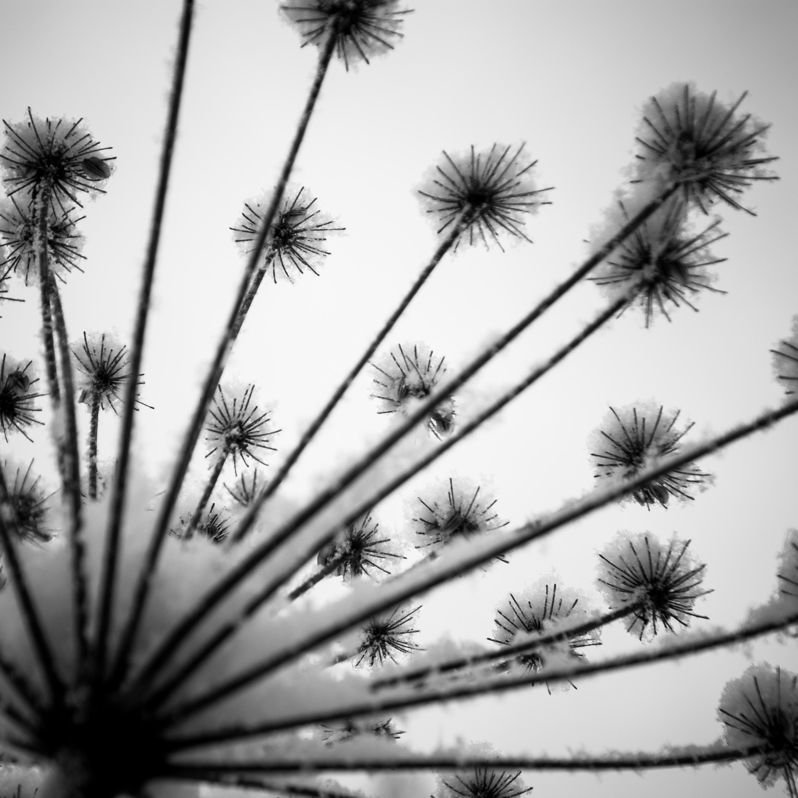 Пейзажные фотографии Тувы. Свадебный фотограф в Кызыле Ай-Херел Ондар