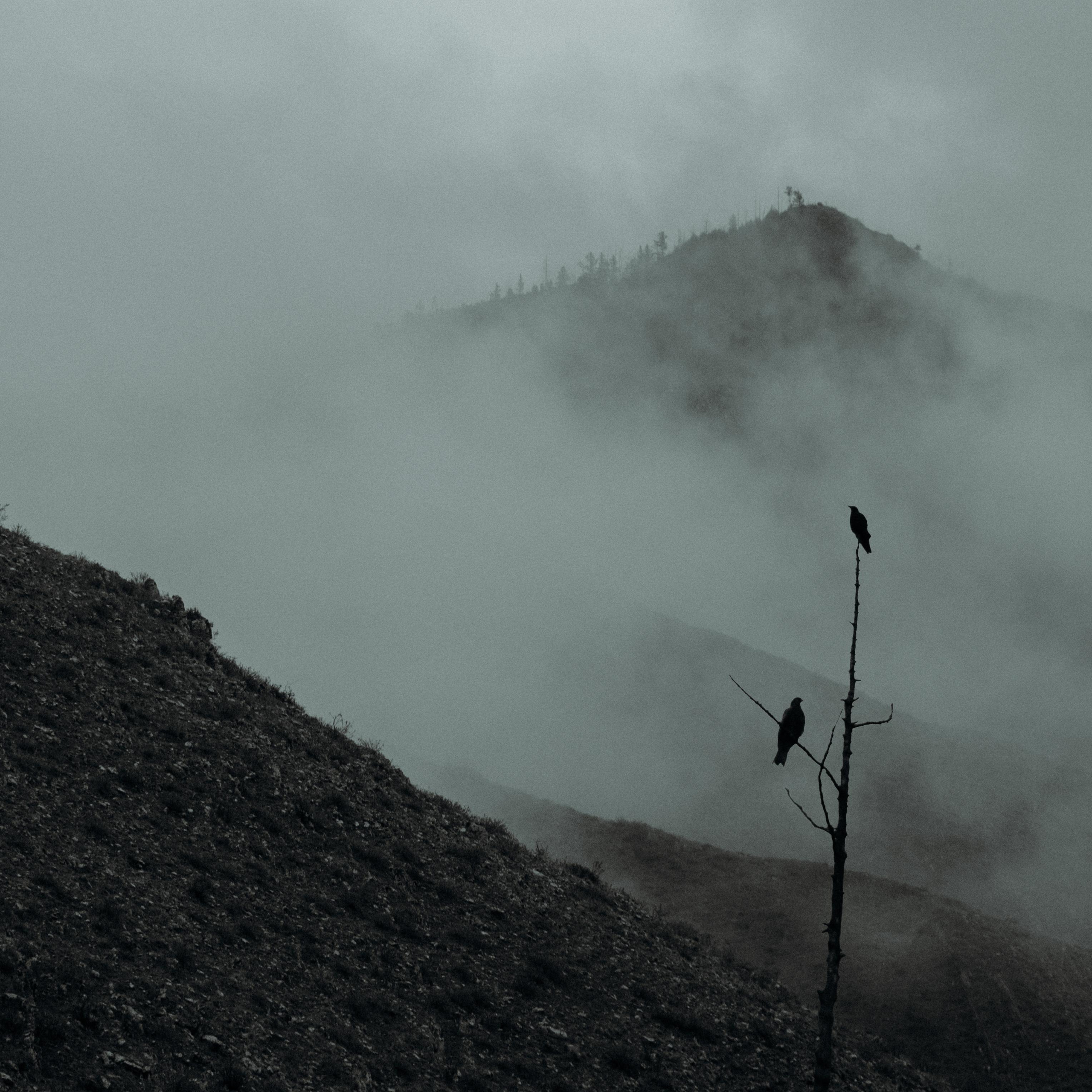 Пейзажные фотографии Тувы. Свадебный фотограф в Кызыле Ай-Херел Ондар