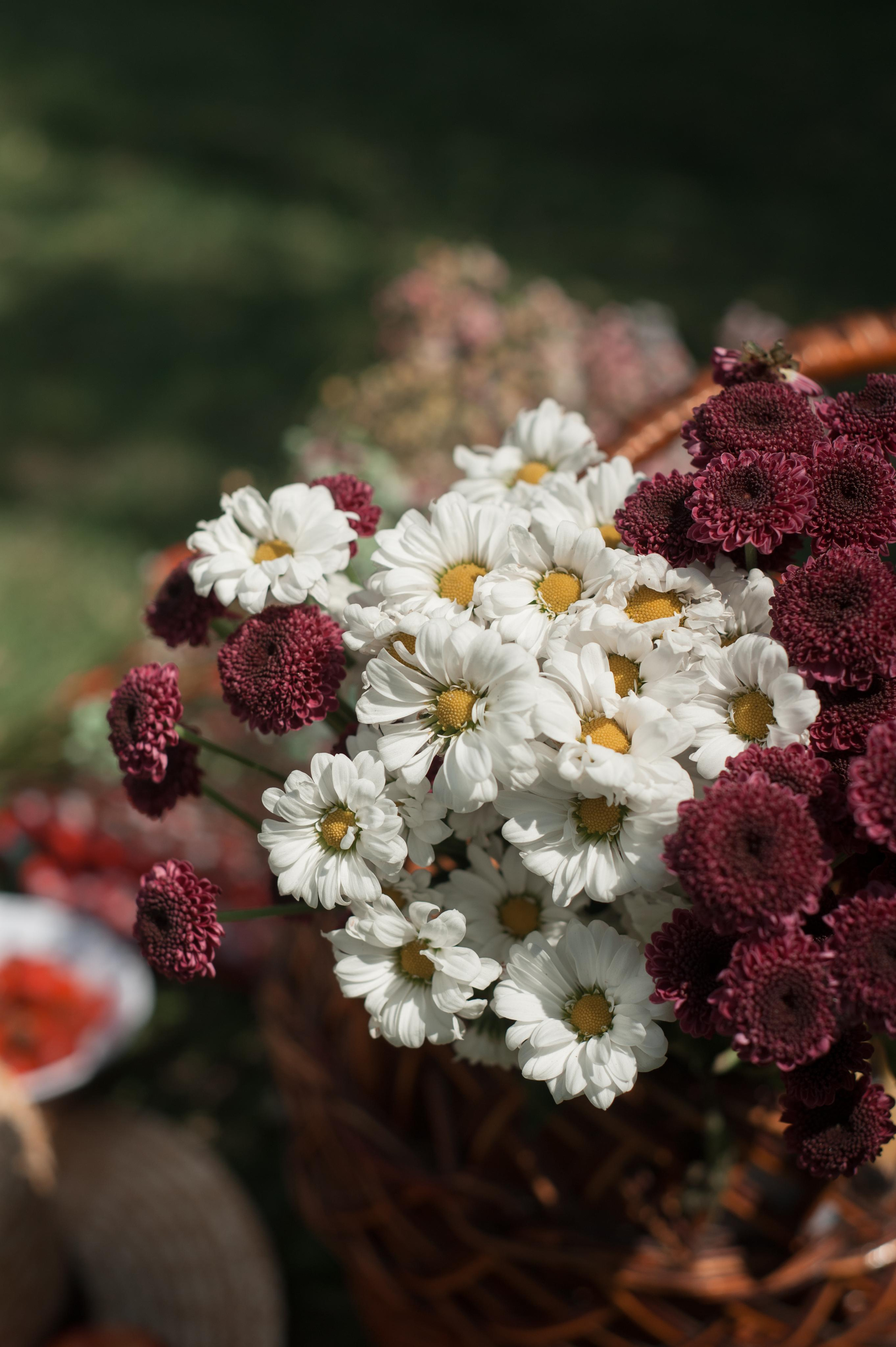 Кок-Тей. Свадебный фотограф в Кызыле Ай-Херел Ондар