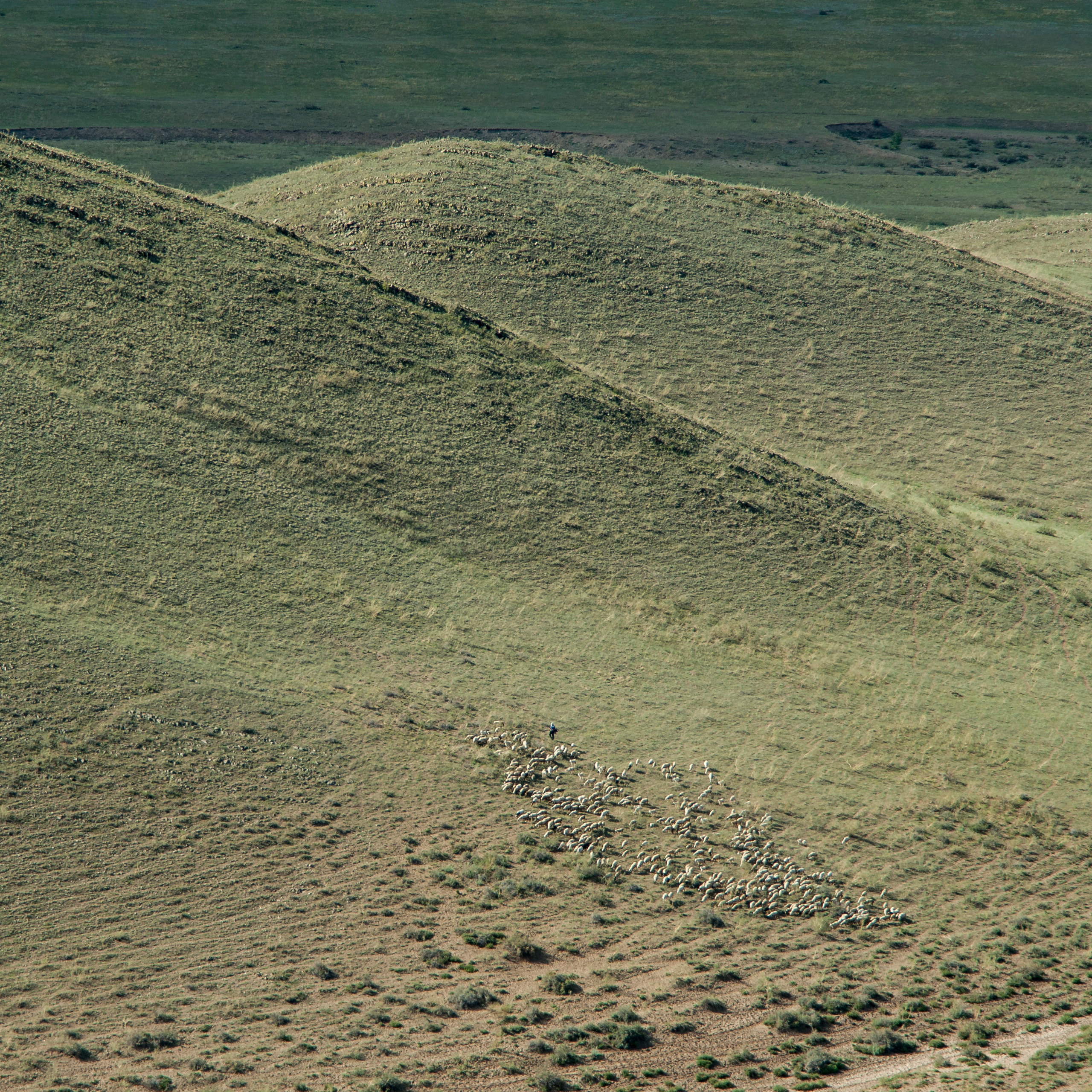 Пейзажные фотографии Тувы. Свадебный фотограф в Кызыле Ай-Херел Ондар