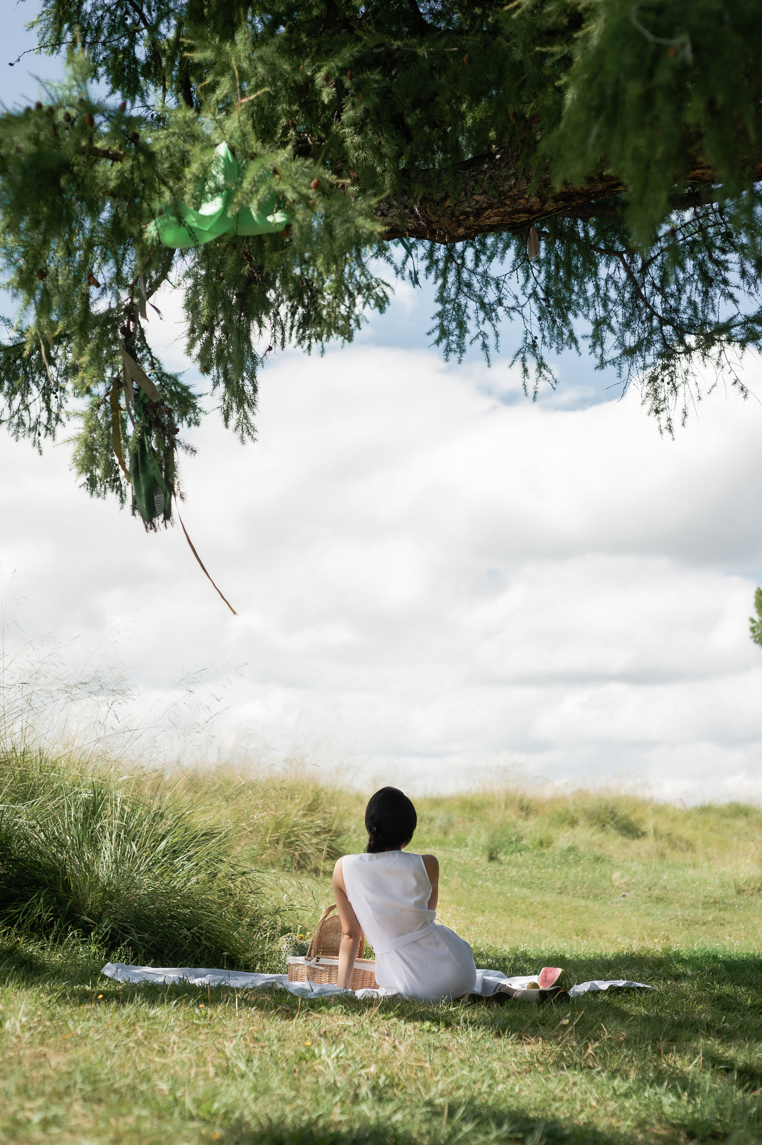 Пикник. Свадебный фотограф в Кызыле Ай-Херел Ондар