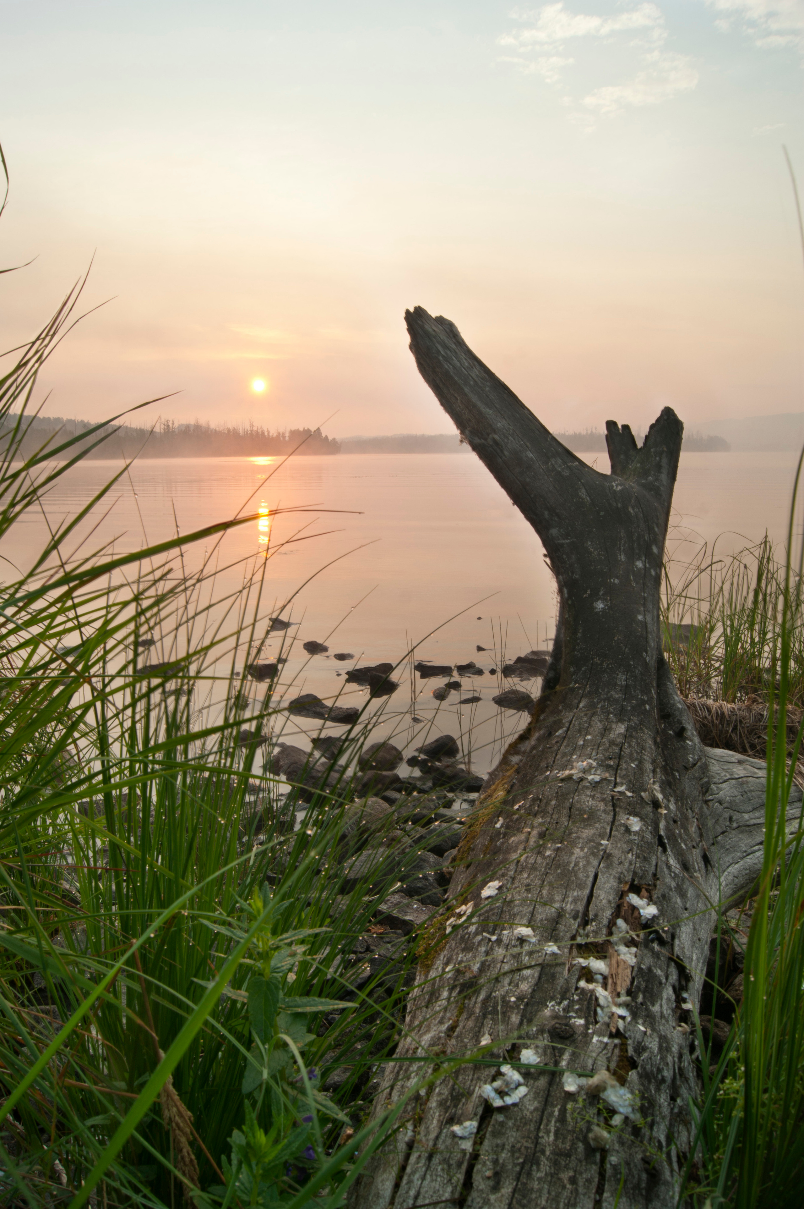 Пейзажные фотографии Тувы. Свадебный фотограф в Кызыле Ай-Херел Ондар