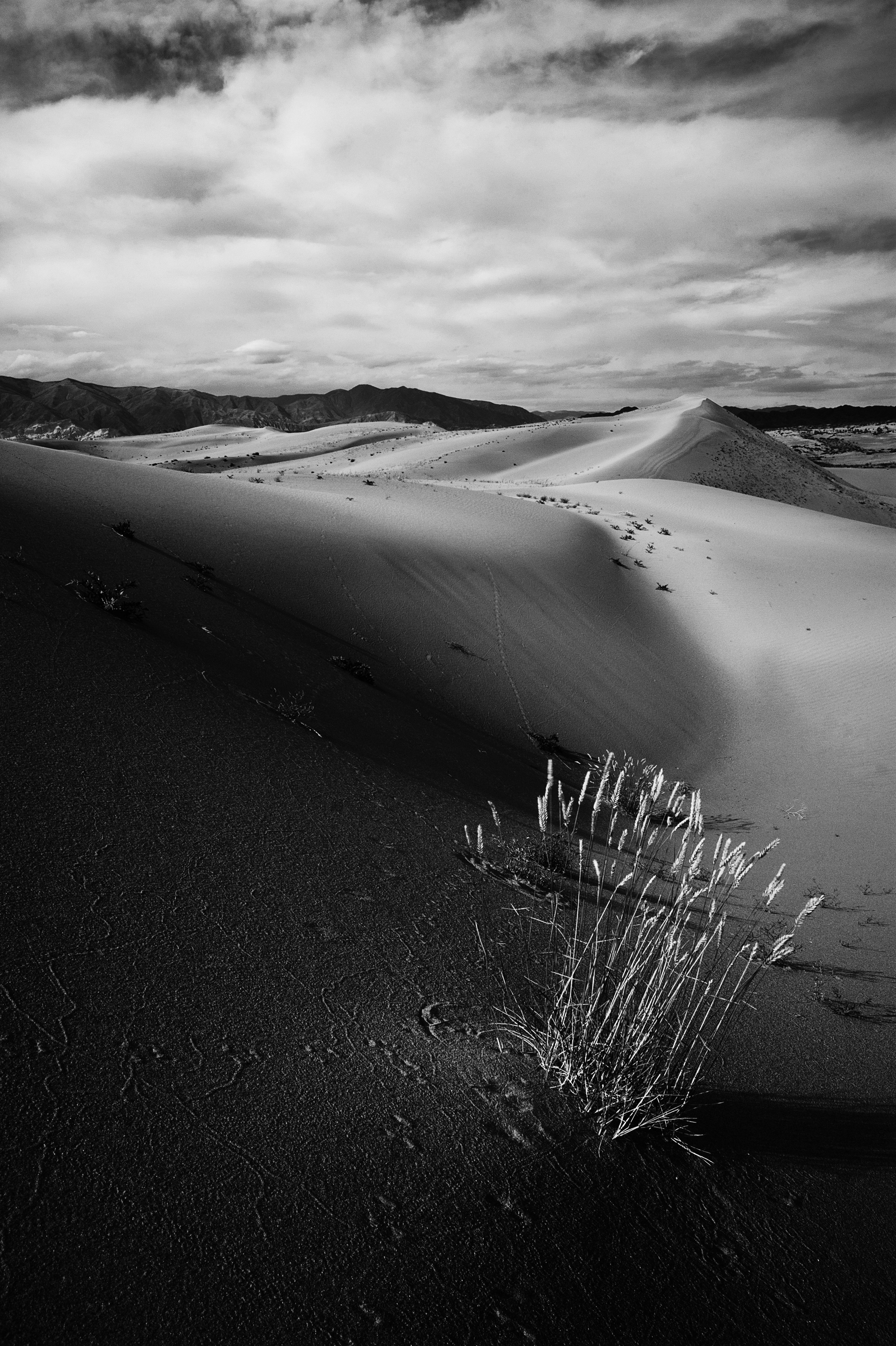 Пейзажные фотографии Тувы. Свадебный фотограф в Кызыле Ай-Херел Ондар
