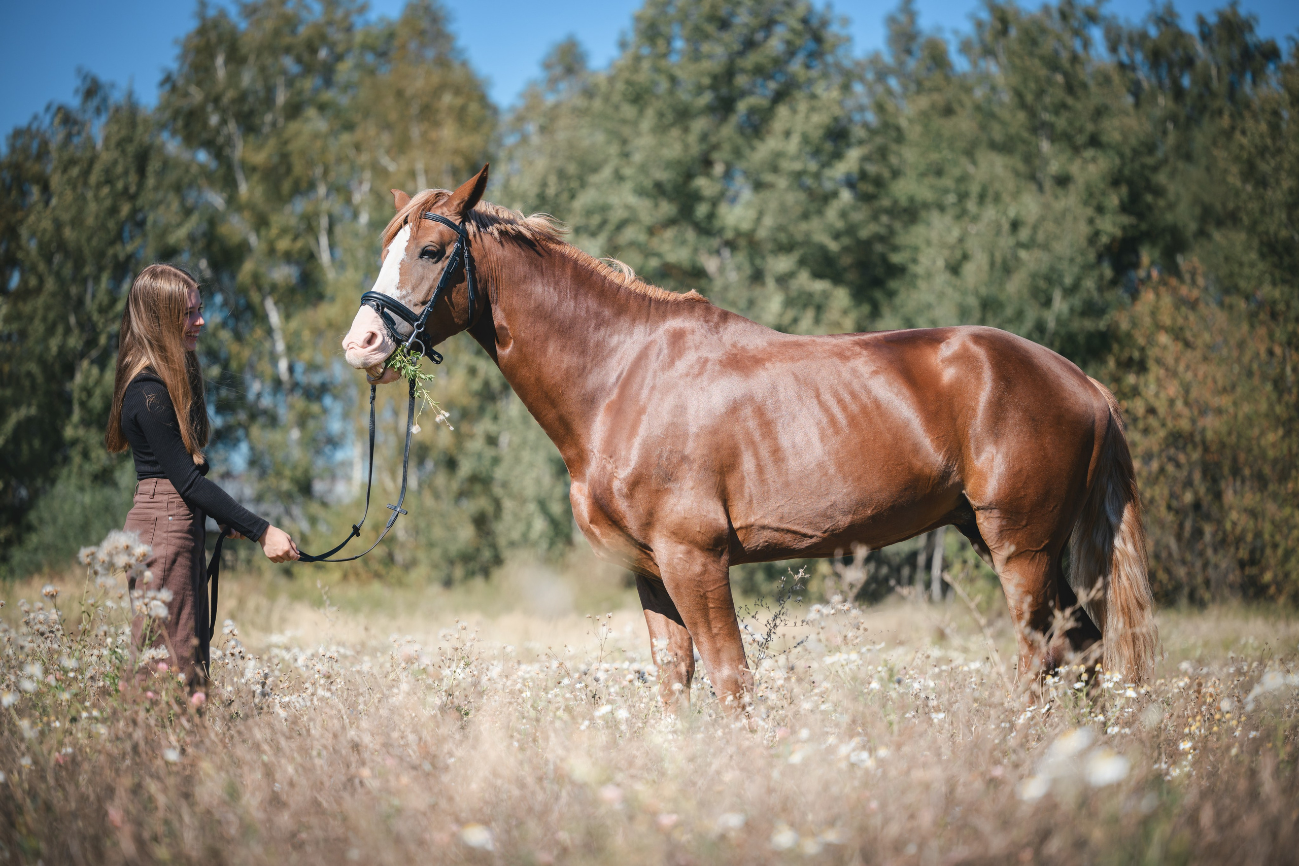 Виктория и Лео. Фотограф Анималист в Москве Анастасия Жучкова