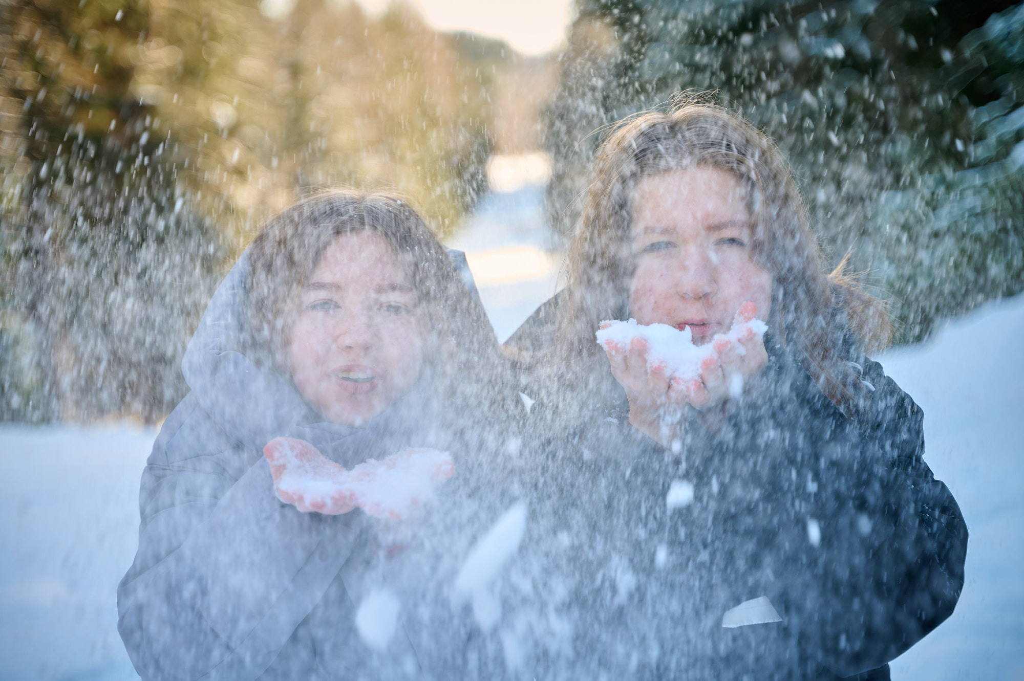Портреты учеников старших классов. Выпускной альбом Выборг, Каменногорск, Светогорск, Санкт-Петербург