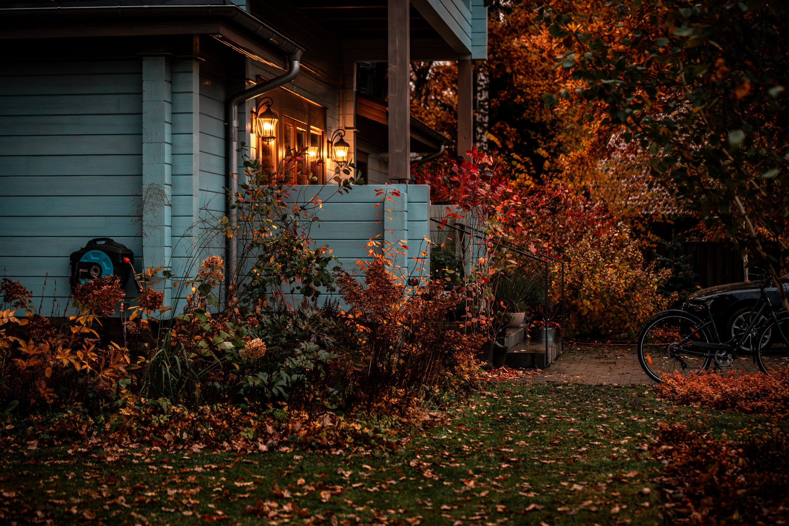 ФОТОПАМЯТЬ ВАШИХ ЭМОЦИЙ. Фотограф-анималист, семейный фотограф в Москве и Подмосковье. Фотосъёмка кинологических дисциплин