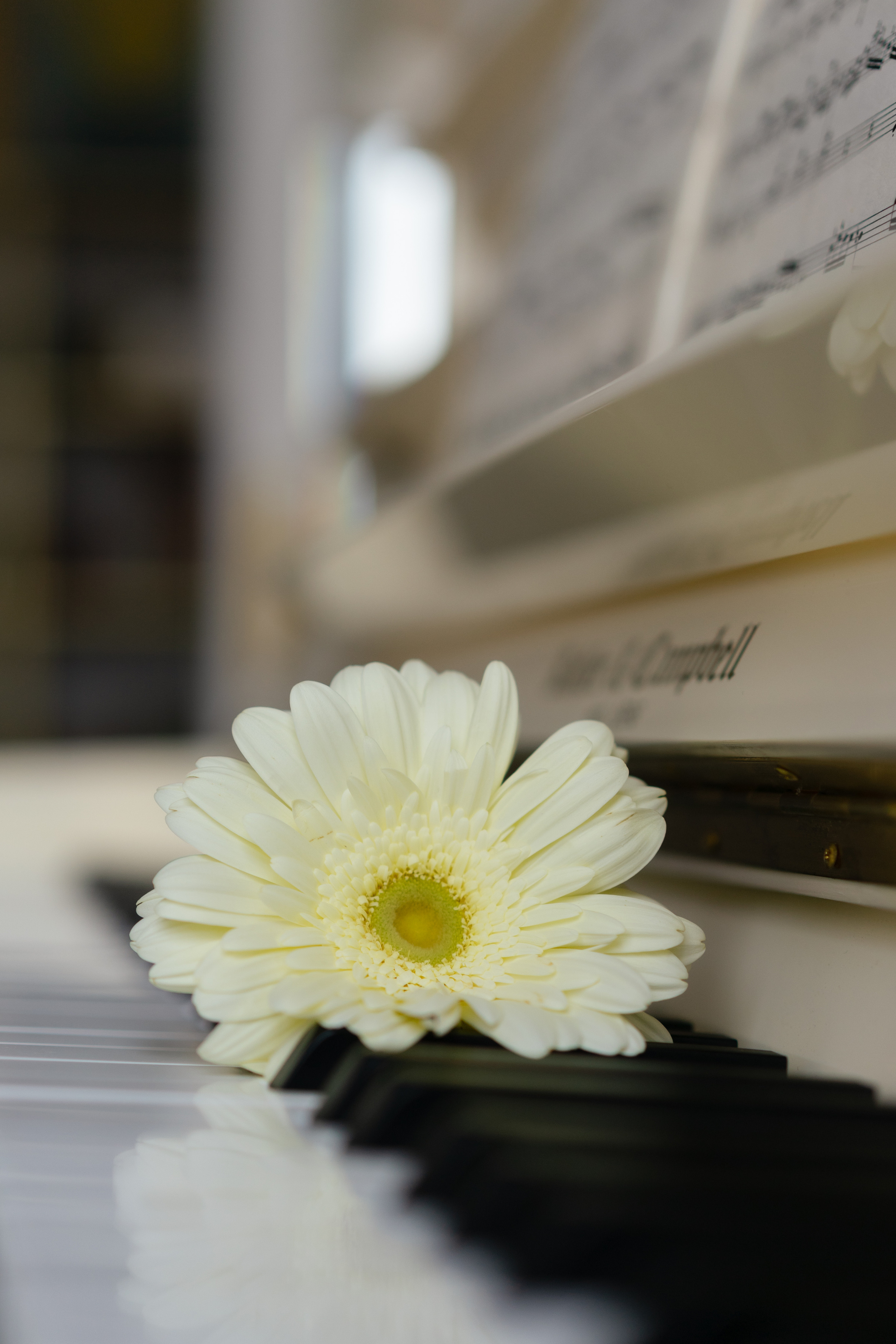 Наталья — музыкант. Фотограф Москва Илюткина Евгения ilutkina.evgenia