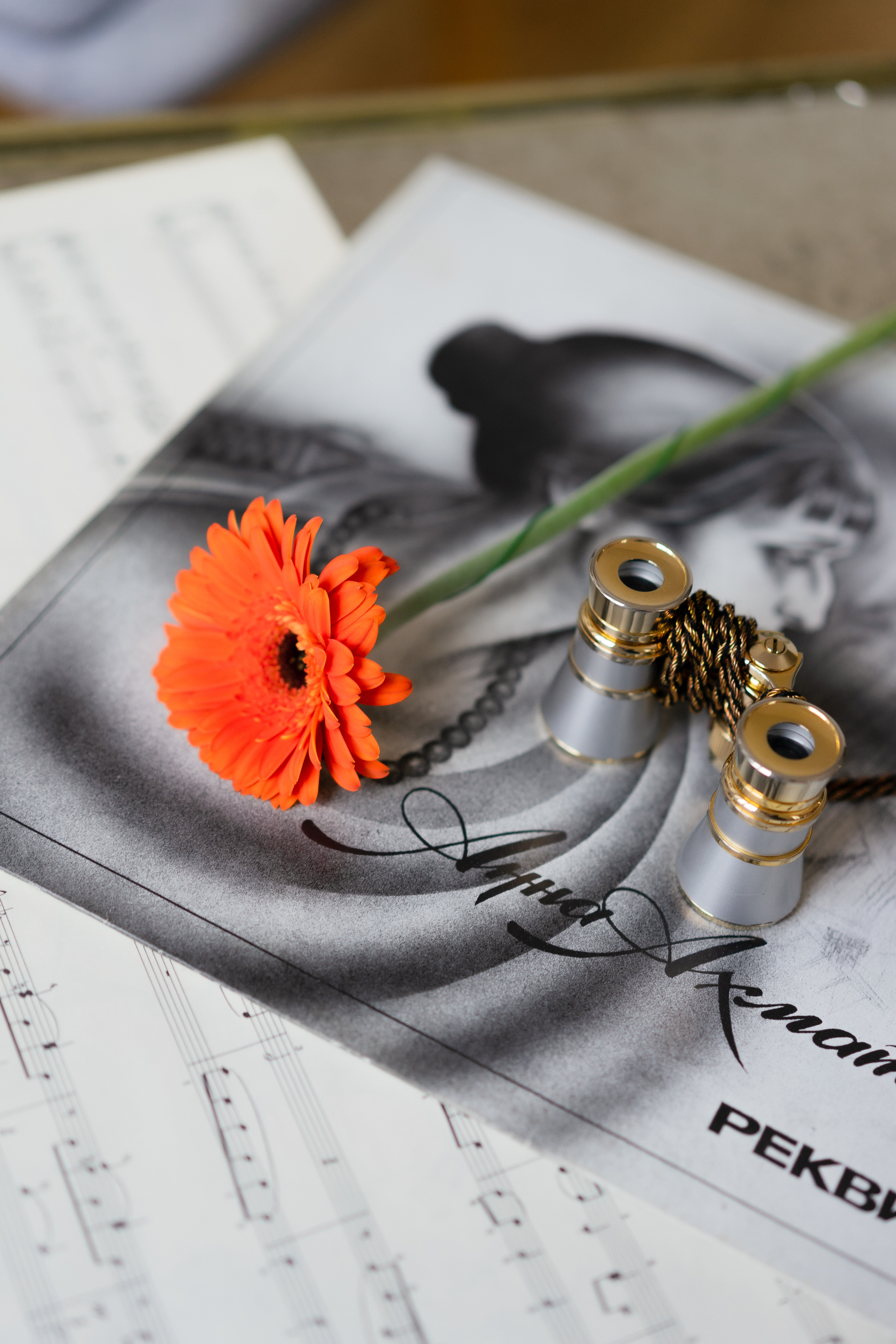 Наталья — музыкант. Фотограф Москва Илюткина Евгения ilutkina.evgenia