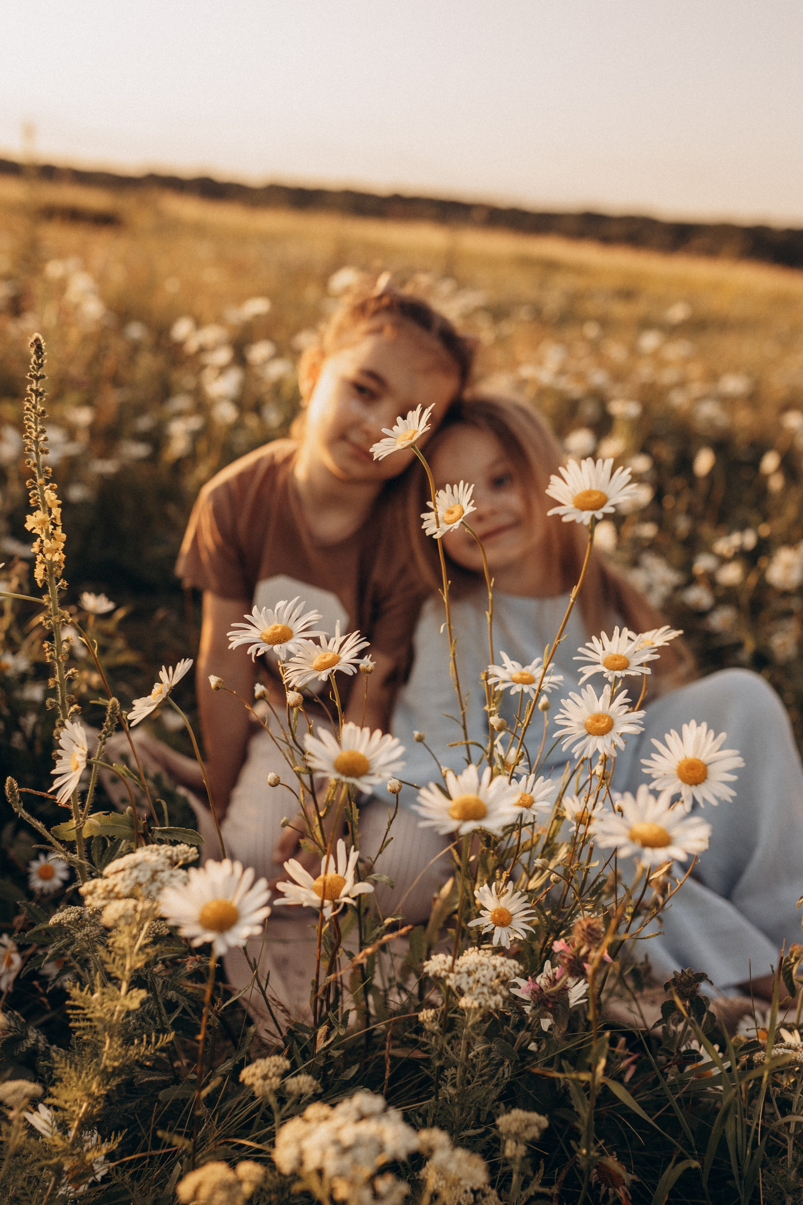 Закат на ромашковом поле. Фотограф в Ставрополе Svetlana Matveeva